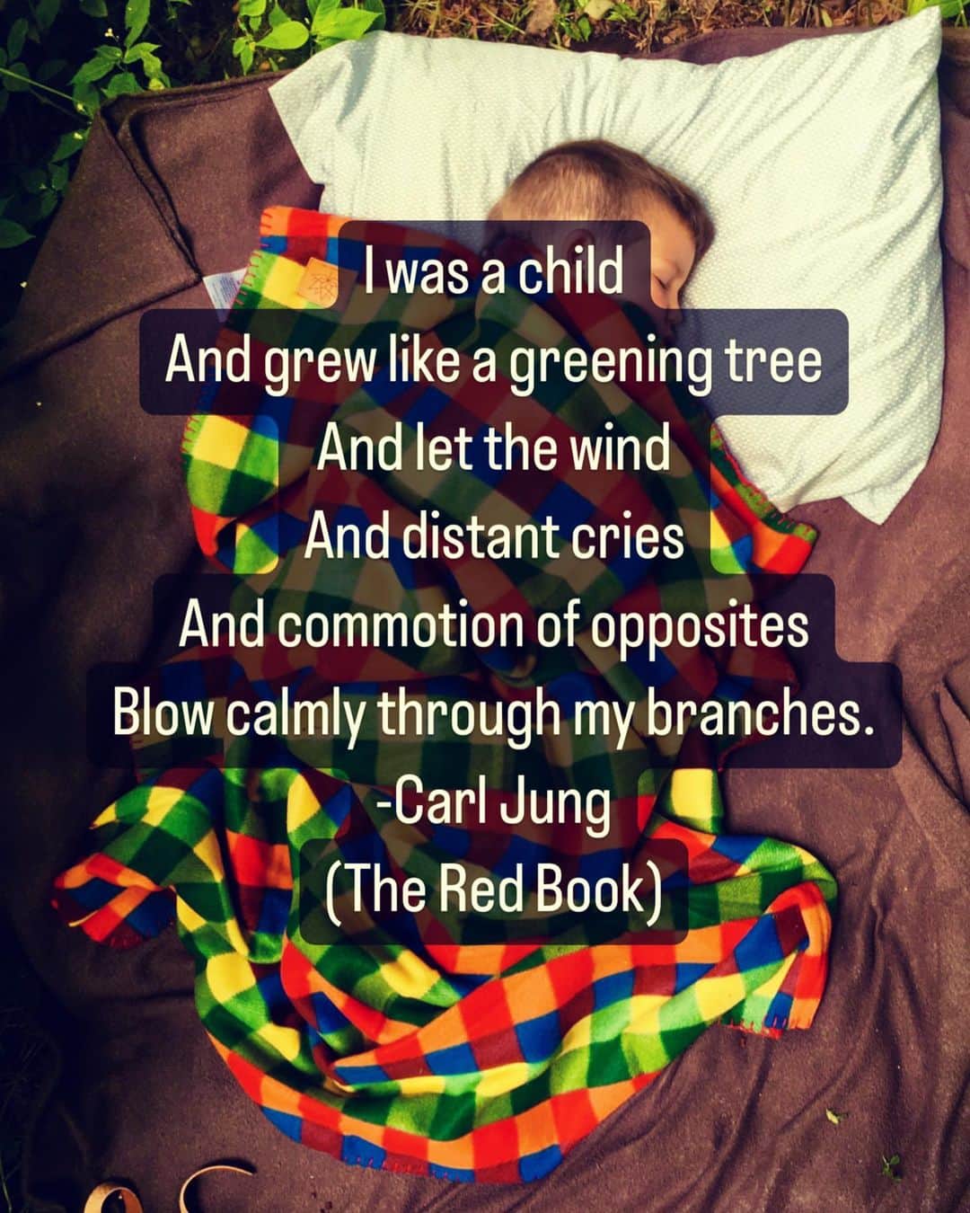 エヴァンジェリン・リリーのインスタグラム：「"I [am] a child and [grow] like a greening tree and let the wind and distant cries and commotion if opposites blow calmly through my branches." -#CarlJung #theredbook」