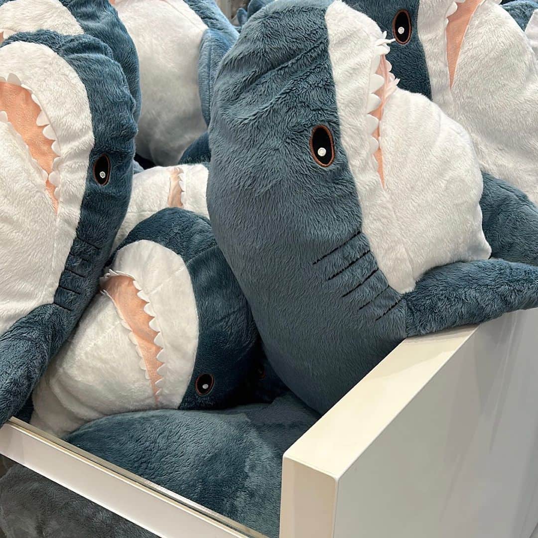 のインスタグラム：「_ shark🦈」