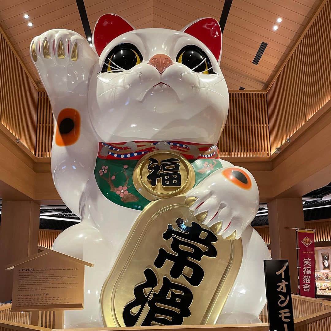丹羽真由実さんのインスタグラム写真 - (丹羽真由実Instagram)「. 先月、福岡放送の同僚べーやんが 東京から仕事で知多にやってくる‼️というので まるは食堂にお連れしてきました🐟 (術前なのでメガネで失礼します👓)  明るいですが、夜です🌛 私たち呑兵衛ですが、昼間から飲んでいません🍺笑  まるは食堂の後は、イオン常滑へ。 愛猫家のべーやんに 名物・巨大常滑系招き猫をご覧頂きました🐈‍⬛ 常滑焼は招き猫の一大産地です。 短い時間でしたが、知多を楽しんでもらえたでしょうか。 べーやん、またゆっくり遊びに来てね〜🤗  それにしても、日が暮れるのも早くなりましたねぇ。 夏も終わりますね🍉  @arisatanabe  #アナウンサー仲間 #知多半島 #知多 #常滑 #まるは食堂 #イオン常滑  #招き猫 #常滑系招き猫 #おたふく #パワースポット」8月28日 13時51分 - mayumi_niwa