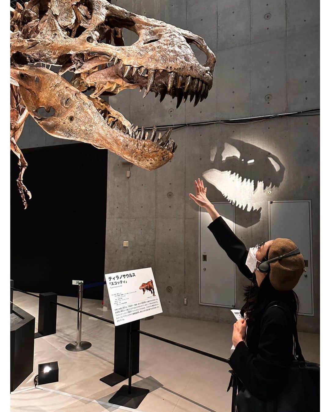 山谷花純のインスタグラム：「昔からスピノサウルスが一番推しだけどやっぱりティラノサウルスの短い前足はとても魅力的。  #恐竜展2023 #恐竜好き #化石 #骨  #ティラノサウルス」