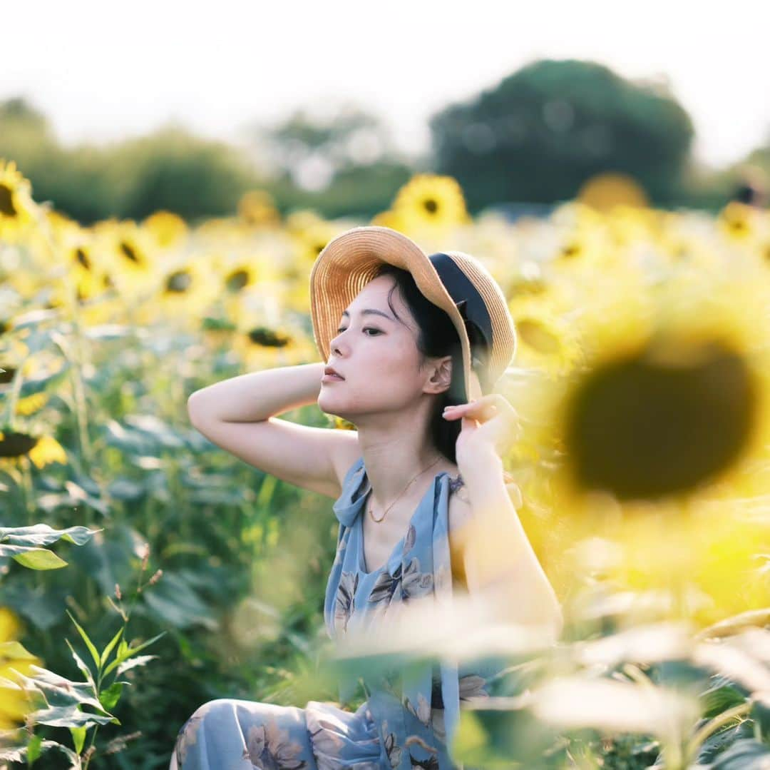 あれれんのインスタグラム：「数年ぶりの座間ひまわり畑🌻 #カメラ#カメラ女子#ミラーレス#富士フィルム#フジフィルム#写真好きな人と繋がりたい#写真撮ってる人と繋がりたい#フィルムシュミレーション#クラシックネガ#ポートレート#ポートレート女子#ポトレ#ポートレートしま専科#ポートレート撮影#座間#座間ひまわり畑 #ひまわり畑#instagood#instagramjapan#camera#team_jp_東#team_jp_#ig_photo#ig_photooftheday#phototag_it#portrait#fujifilm#gfx50sii#gf80mmf17#sunflower」