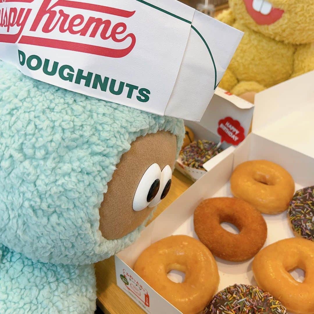たぬきゅんのインスタグラム：「昨日はスタッフさんのお誕生日祝いを兼ねておやつがドーナツだったよ🍩 ぼくは2つも食べちゃった！  みんなはどんなドーナツがすき( (Ꙭ) )？」