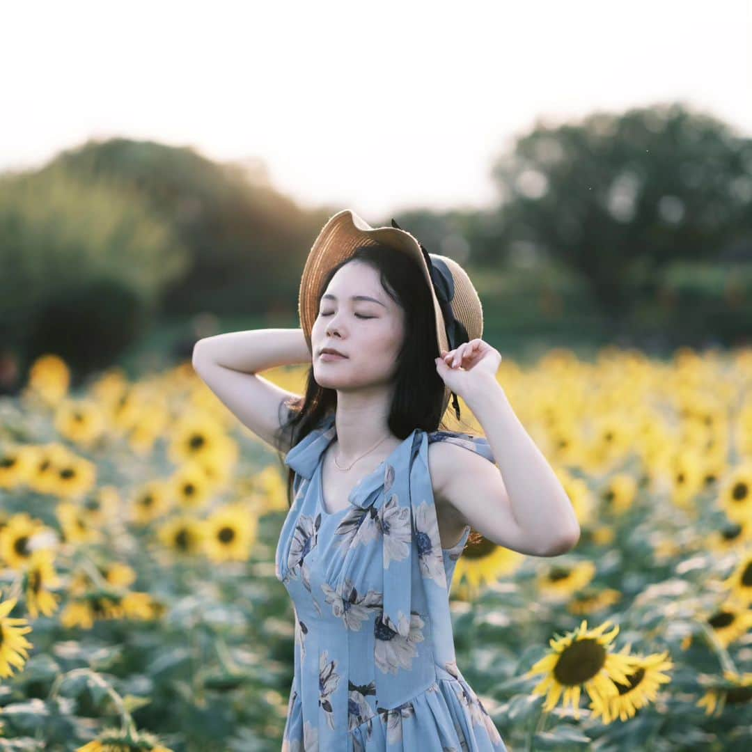 あれれんのインスタグラム：「👒🌻 #カメラ#カメラ女子#ミラーレス#富士フィルム#フジフィルム#写真好きな人と繋がりたい#写真撮ってる人と繋がりたい#フィルムシュミレーション#クラシックネガ#ポートレート#ポートレート女子#ポトレ#ポートレートしま専科#ポートレート撮影#座間#座間ひまわり畑 #ひまわり畑#instagood#instagramjapan#camera#team_jp_東#team_jp_#ig_photo#ig_photooftheday#phototag_it#portrait#fujifilm#gfx50sii#gf80mmf17#sunflower」