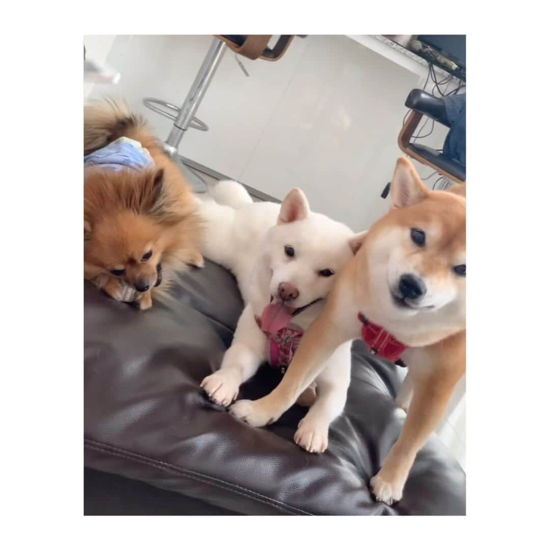 井上小百合のインスタグラム：「♡」