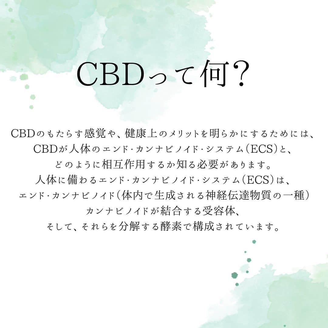 藤本奈月さんのインスタグラム写真 - (藤本奈月Instagram)「いきなり、CBDショップで働きます！って言うてもだよ、 CBDってなんぞ？ってなるわな、そりゃあな。  〜要点〜 CBDの成分は「使用が違法」と言われてる「大麻」の中の成分のヒトツ(最近話題に事欠かないね)  しかし、CBD成分は  「違法ではない」  はい、もう何言ってるの？だよね。 (効能は投稿読んでみてね)  人間の身体の中にある、エンドカンナビノイドシステム こことCBDが結びつく事で様々な効果がもたらされる。 そもそも人間の身体には、CBDを受け入れる事で1アップする受容体がある。 なくたって生活出来るけど、QOLを上げたり CBDが必要な疾患を持ってる人には、ありがたい成分。 事実私も随分と助けられてる、代替療法として処方薬を減らしている訳です。  日本で悪と言われる大麻 ラリってる、ぶっ飛んでる、違法薬物だ、と。 仕方ない、そう言われる国に住んでるんだから、違法は違法。  違法指定されてる成分を完全に除去してある 「大麻」内の成分CBD  そしてこの「違法じゃない大麻成分」の中にも ナチュラル系、サイコアクティブ系と分類が変わってくる。 そしてナチュラル系にも、CBD、CBN、CBGと細分化されてて、使用用途が変わっくるんだな。  そこもそのうち突っ込んでいきますが、  Instagramでの私ってさ、 あくまでもモデルとして、母としての私の認知が多いのに  いきなり  「「「大麻」」」  とか、非合法なワードが出てくるとビックリすると思うの← Instagramでは、ナチュラル系に限って情報発信しつつ スレッズでは、 @add_cbd.nishijin での取り扱いの多い　サイコアクティブと部類されるものについても触れていこうと思う  あと、 覚醒剤と大麻は違います 法律でも別のものになってるよ 間違えないでね！  #CBD #CBDオイル#cbdセラム #cbdコスメ#CBN#CBG」8月28日 19時00分 - natsuki_n2k