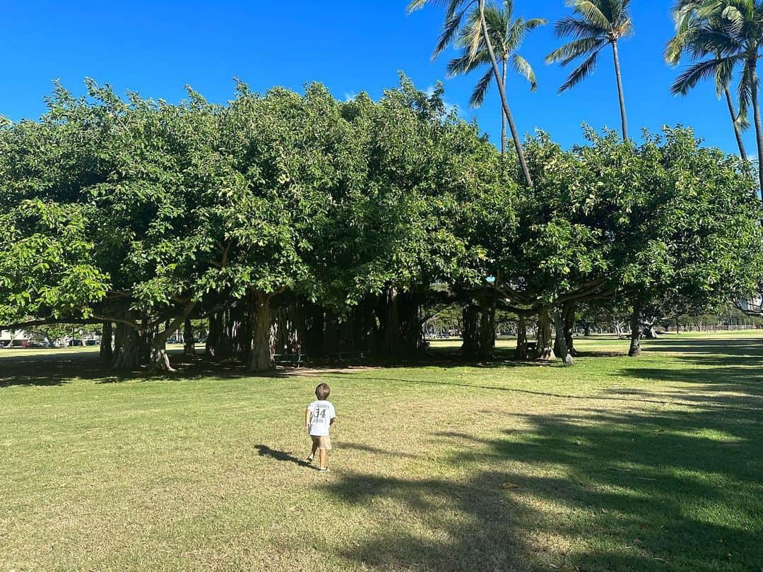 道端アンジェリカのインスタグラム：「カピオラニ公園🌴 大好きな場所☺️」