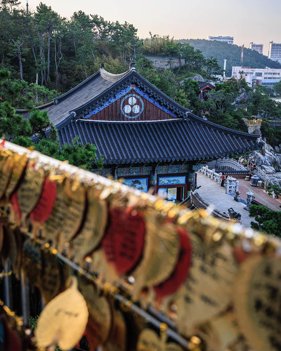 SHOCK EYEさんのインスタグラム写真 - (SHOCK EYEInstagram)「韓国でもせっかくなのでパワースポットと呼ばれている場所に行こうということで、  ”心から願えば誰でも必ず１つ願い事が叶う”  という、釜山の海東龍宮寺に✨  海岸沿いに建てられている為、まるで竜宮城のような雰囲気。 日本のお寺とはどこか趣きが違って、カラフルな色彩がとても綺麗で、何より海とお寺のコンビネーションが素晴らしい絶景を作り出していたよ✨  とにかく広いお寺さん、 至る所に沢山の仏像が置かれていて、見どころ満載✨  龍宮寺に向かう108段は、階段を下ると煩悩（ぼんのう）を取り去ってくれるそうだし、  橋の上から、幸運の小銭投げが できたり、  本堂横には縁起の良さそうな大きな布袋像。  何より目を見張ったのは海岸に鎮座する黄金色の地蔵菩薩かな✨🙏  優しい海風を受けながら静かにこの仏像の前に立ち手を合わせると、心がスッと整う感覚があったよ。  このお地蔵さまは、地獄の衆生を救済すると伝えられているんだって。  最後には階段を上り、、高台に立つこのお寺一番大きな、高さ10メートルほどの海水觀音大仏に手を合わせ、参拝は終了😌  異国の地でもこういった寺社を訪ねるのは本当に貴重な経験、時間になるよね。 楽しかった^ ^ 感謝感謝🙏  #海東龍宮寺 #釜山 #韓国 #해동용궁사」8月28日 15時06分 - shockeye_official
