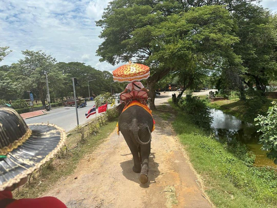 攝津正さんのインスタグラム写真 - (攝津正Instagram)「. . 攝津家の夏休み🇹🇭  zboyが象（どうっ って言う) が好きなので、タイまで象に会いに行きました。  いざ乗る時はビビって半泣き、 乗ってから最初は怖かったのか泣いてましたが途中から大丈夫でした。  かなり揺れるので俺はzboyを抑えるので手一杯でした。  迫力満点の象達。 餌もあげれて大満足なzboyでした！  記憶に残るか分かりませんが、色々なことを経験させてあげたいです。  . . #攝津家の夏休み #海外旅行 #タイ旅行 #タイ #アユタヤ #ゾウ #ゾウ乗り #zboy #愛息子 #長男 #２歳 #物怖じせず #す芸 #外国人の心鷲掴み #コミュ力高め  #時差投稿 #象 #💩 #デカくてビビる #家族旅行 #family」8月28日 15時18分 - tadashi_settsu