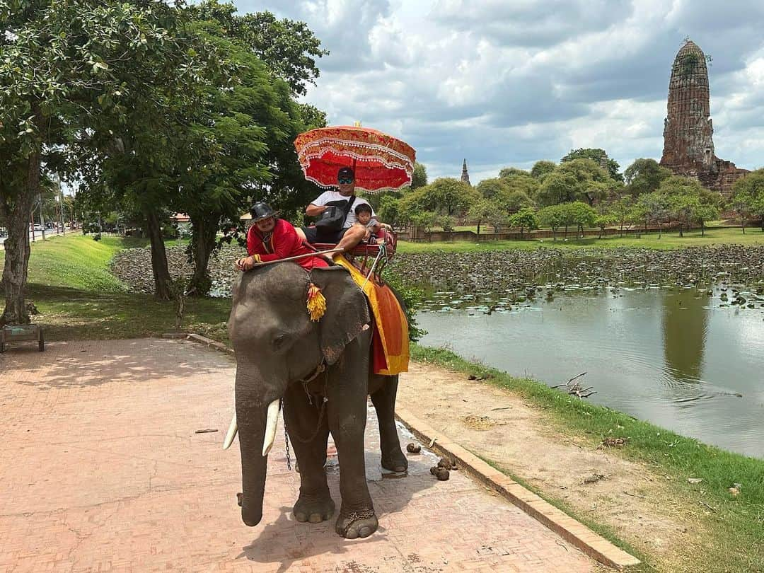 攝津正のインスタグラム：「. . 攝津家の夏休み🇹🇭  zboyが象（どうっ って言う) が好きなので、タイまで象に会いに行きました。  いざ乗る時はビビって半泣き、 乗ってから最初は怖かったのか泣いてましたが途中から大丈夫でした。  かなり揺れるので俺はzboyを抑えるので手一杯でした。  迫力満点の象達。 餌もあげれて大満足なzboyでした！  記憶に残るか分かりませんが、色々なことを経験させてあげたいです。  . . #攝津家の夏休み #海外旅行 #タイ旅行 #タイ #アユタヤ #ゾウ #ゾウ乗り #zboy #愛息子 #長男 #２歳 #物怖じせず #す芸 #外国人の心鷲掴み #コミュ力高め  #時差投稿 #象 #💩 #デカくてビビる #家族旅行 #family」