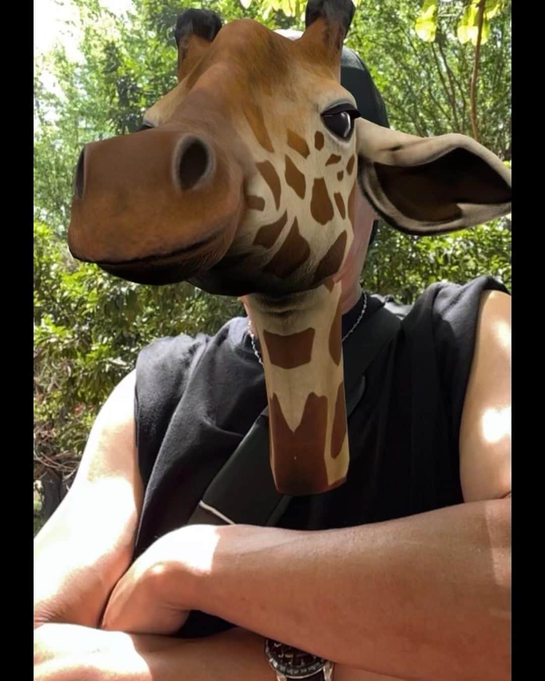 スガシカオさんのインスタグラム写真 - (スガシカオInstagram)「英語の勉強のために、動物園にキリンを見に行ってきました  To study English, I went to the zoo to see giraffes.🦒」8月28日 16時15分 - suga_shikao