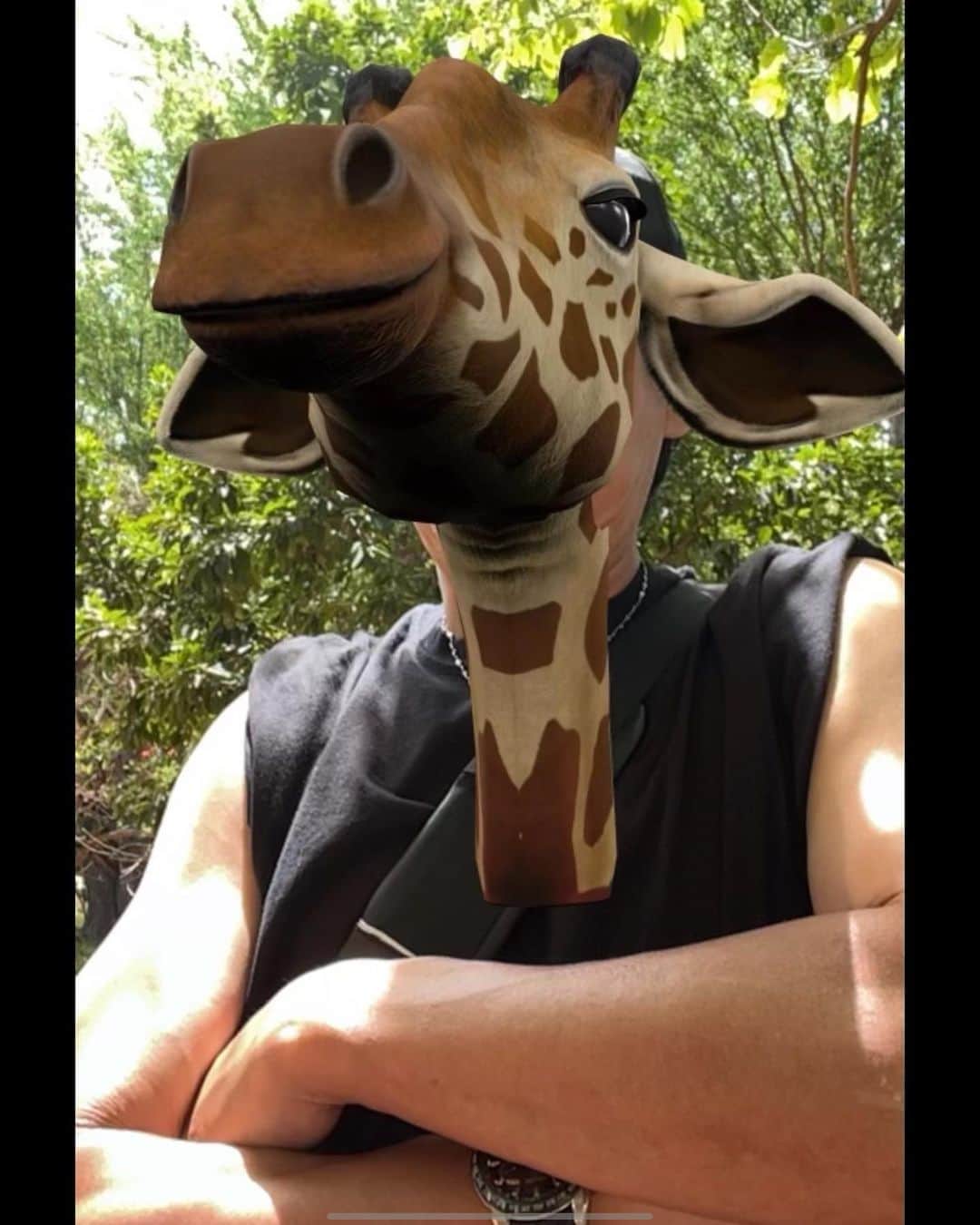 スガシカオのインスタグラム：「英語の勉強のために、動物園にキリンを見に行ってきました  To study English, I went to the zoo to see giraffes.🦒」