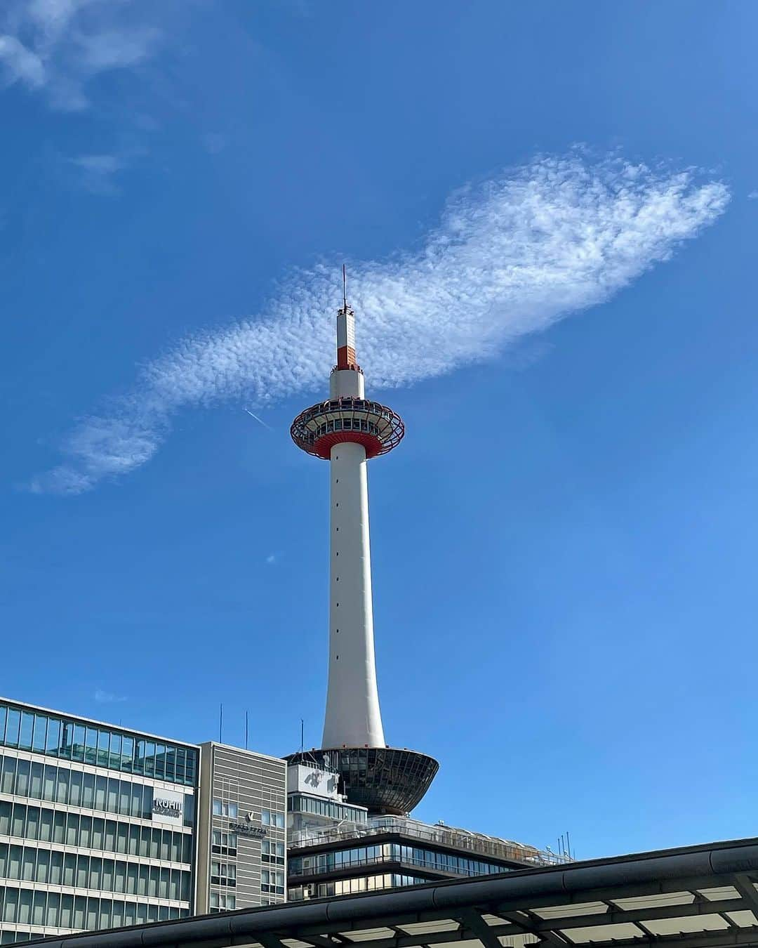 M'sブライダルさんのインスタグラム写真 - (M'sブライダルInstagram)「夏季限定の冷やしすだちうどんが登場しました💫🍜 さっぱりとした酸味と風味豊かなすだちが絶妙なアクセント✨ 召し上がるだけで、暑い夏を乗り切れるような気がします🌞💪  また、お楽しみの後には京都タワーを是非見てくださいね🗼 美しい景色と共に、ほっと一息つけるはずです😌💕 #夏季限定 #冷やしすだちうどん #暑い夏を乗り切る #夏のご褒美 #美味しい #さっぱり #すだち好き #風味豊か #京都タワー #美しい景色 #ほっと一息 #楽しい夏の思い出 #おいしい料理 #京都グルメ #夏のお出かけ #心地よい風 #夏の味覚 #オススメ #京都の絶景 #リフレッシュ #おでかけスポット #京都旅行 #夏の風物詩 #楽しいイベント #美味しい絶品グルメ #料理好き #夏の風物詩 #夏を満喫 #おいしいおうちごはん #京都散策 #暑さ対策」8月28日 16時18分 - msbridal_pr