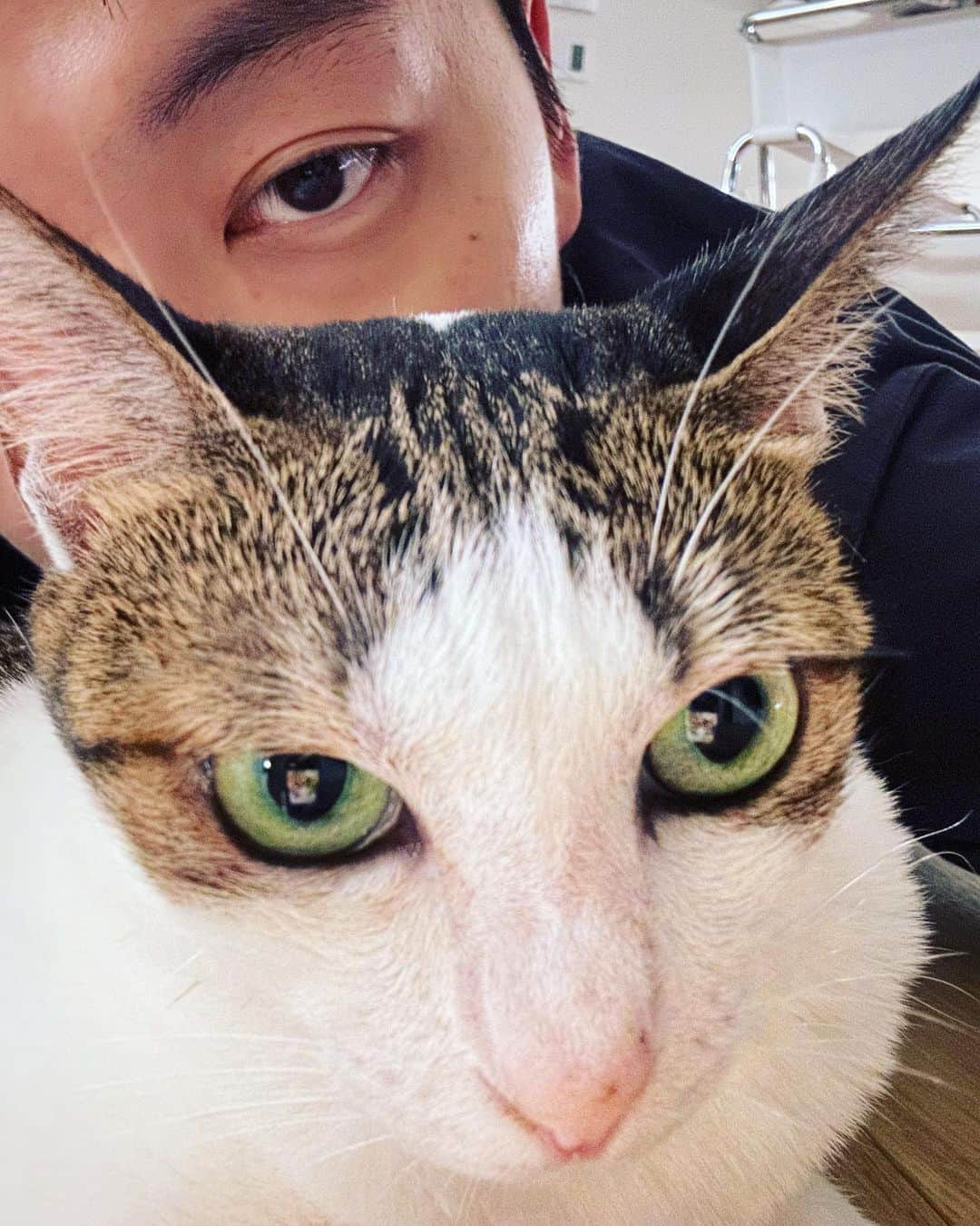 のインスタグラム：「가을로」