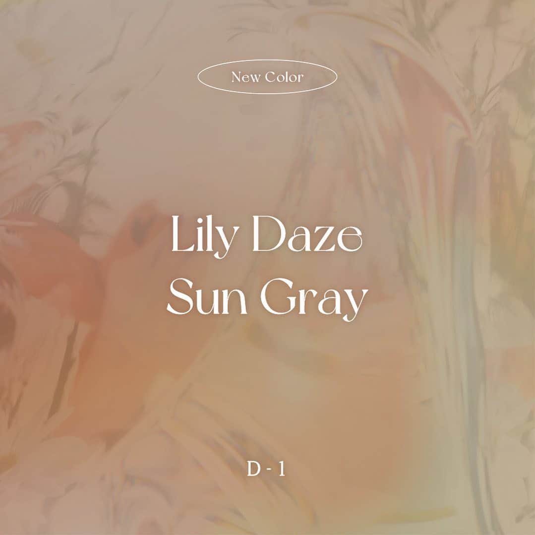 あさきのインスタグラム：「New Lily, New Gray. Lily Daze Sun Gray❤️‍🔥 08.29 Coming Soon✌️」