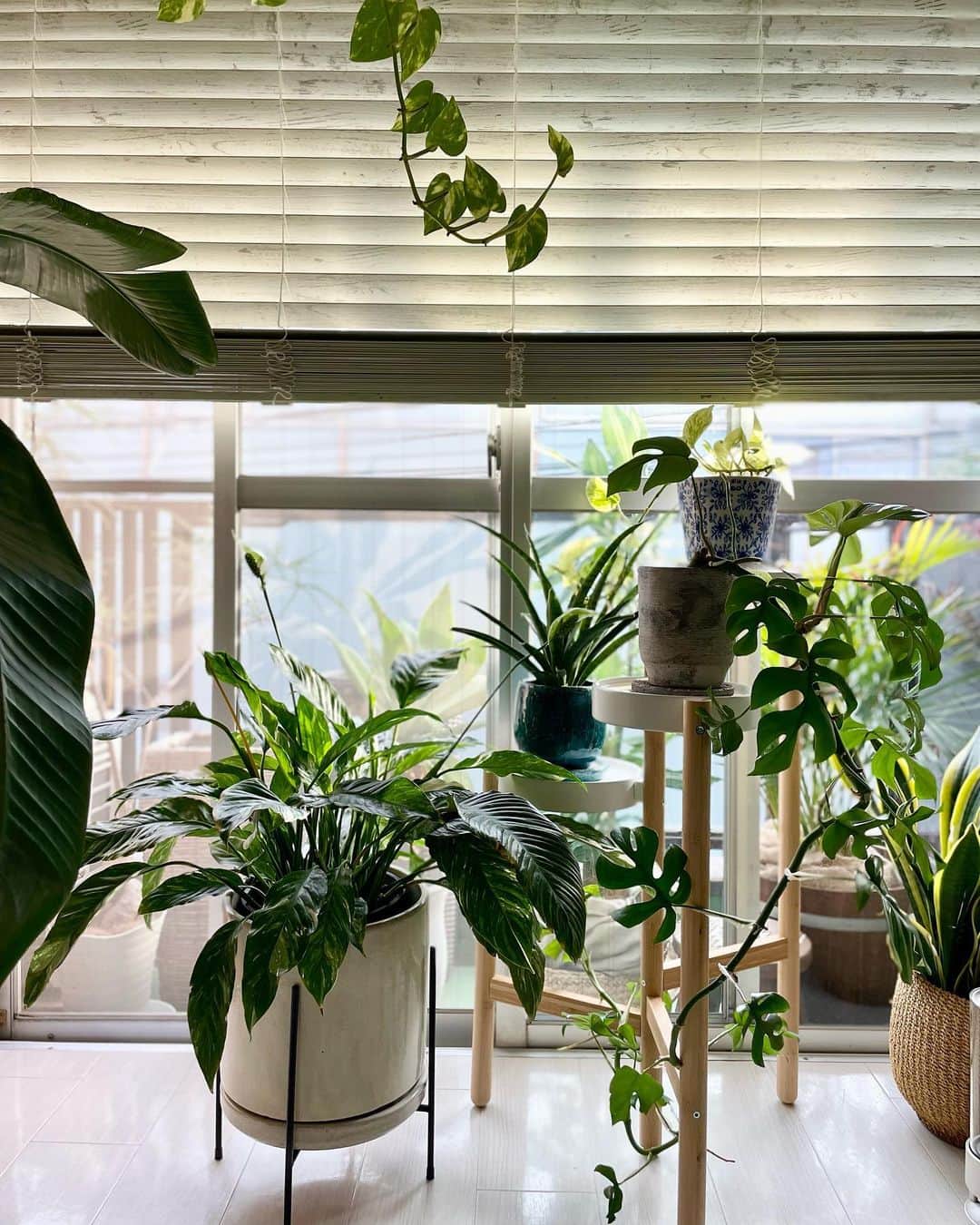 多岐川華子さんのインスタグラム写真 - (多岐川華子Instagram)「LAUGH YOGA SALONといえば緑🪴 植物に囲まれて深呼吸するの、気持ちいいです。  入った瞬間から、ここが都会のど真ん中という事を忘れるくらい心地よく、隅々までこだわり抜かれている空間。  柔らかな雰囲気の中でヨガ🧘‍♀️  女性専用のパーソナルヨガサロン。 曜日により、いろいろな先生が担当しております。  私がインストラクターになるきっかけをくれた場所。 単発利用も可能です☺️  @laughyoga_salon  @sacoco_0127  #表参道」8月28日 17時05分 - hanako__official