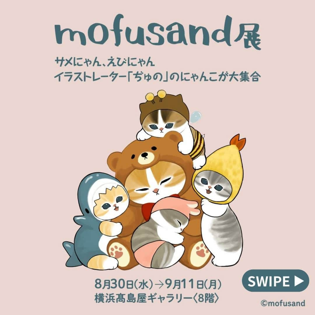 TAKASHIMAYAのインスタグラム：「【mofusand展】サメにゃん、えびにゃん イラストレーター「ぢゅの」のにゃんこが大集合🐈  にゃんこがサメの着ぐるみを着た「サメにゃん」やエビフライをかぶった「えびにゃん」など、ちょっとシュールでとってもキュートな姿が特徴の「mofusand」。 本展はそんなにゃんこたちが会場を埋め尽くし、イラストやフォトスポットを通して、mofusandの世界観を存分にお楽しみいただける展覧会です🐱 本展のための描きおろしイラスト「テディベアにゃん」のグッズも登場します！  ＜開催概要＞ ※都合により変更になる場合がございます。 ■横浜店 会期：2023年8月30日（水）→9月11日（月） 会場：横浜高島屋ギャラリー〈8階〉 ご入場時間：午前10時～午後6時30分（午後7時閉場）  ※最終日は午後4時30分まで（午後5時閉場）  ■京都店 会期：2023年11月1日（水）→13日（月） 会場：京都高島屋 7階催会場 ご入場時間：午前10時～午後7時（午後7時30分閉場）  ※最終日は午後6時まで（午後6時30分閉場） グッズコーナーは各日午後8時まで　※最終日は午後7時まで  🐱「mofusand展」詳しくはこちら🐱 https://www.takashimaya.co.jp/store/special/mofusand/index.html プロフィールのURLから「mofusand展」のバナー画像をタップいただくことでもご覧いただけます。  #高島屋#横浜高島屋#京都高島屋#mofusand#猫#ねこ#サメにゃん#えびにゃん#テディベアにゃん#にゃんこ#猫グッズ#猫イラスト#ぢゅの さん#はちにゃん#mofusand展#フォトスポット#展覧会巡り#展覧会情報#展覧会#展覧会情報#展覧会めぐり」