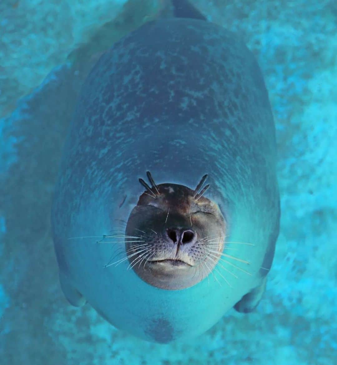 コンスタンス・ジマーさんのインスタグラム写真 - (コンスタンス・ジマーInstagram)「“Take a deep breath. Your head is above water. You got this.” #mondaymood #repost from @onlyone」8月29日 3時51分 - constancezimmer