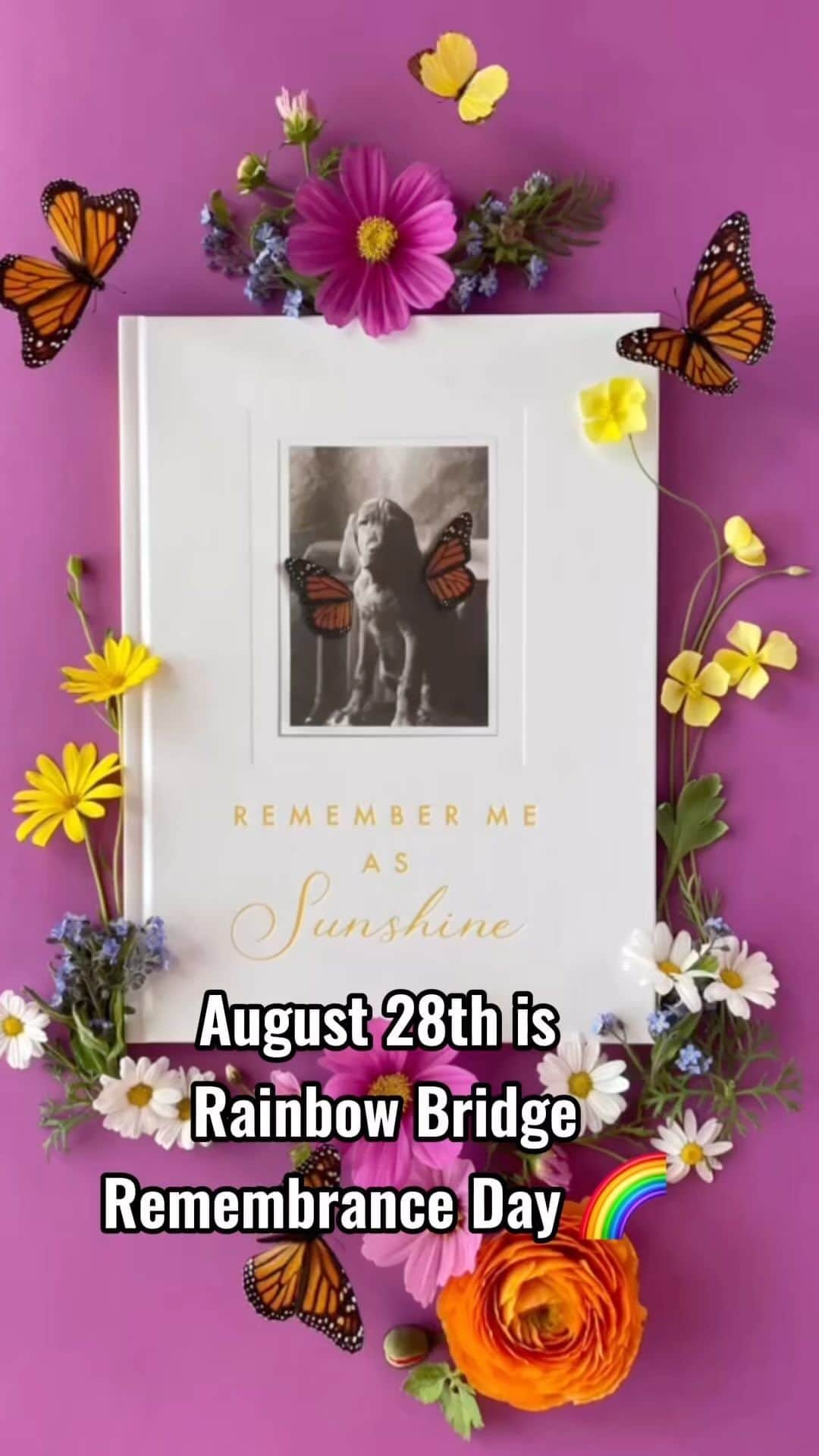 DogsOf Instagramのインスタグラム：「Today is Rainbow Bridge Remembrance Day 🌈✨The hardest part of loving a dog is losing them way too soon. As a way to honor the memory of our beloved dogs who have crossed the rainbow bridge, we’re giving away our favorite pet sympathy book,  @remember_me_as_sunshine , Love Notes From My Dog @💛  For the chance to win a gift wrapped book, chiming heart and seeded plantable paper heart, all you have to do is:  1. Follow @remember_me_as_sunshine  2. Comment your beloved pet’s name on this post   Books can be purchased in our link in bio 🌈✨  Featured on the cover of the book is Boris, who heroically perished in a house fire saving his family’s life. To honor Boris’s legacy and all dogs, a donation will be made to the @mauihumanesociety relief fund for every book purchased today. 🌻  #rainbowbridgeremembranceday #rainbowbridge #rainbowbridgeday #petremembrance #grief #lossofdog #remembermeassunshine」