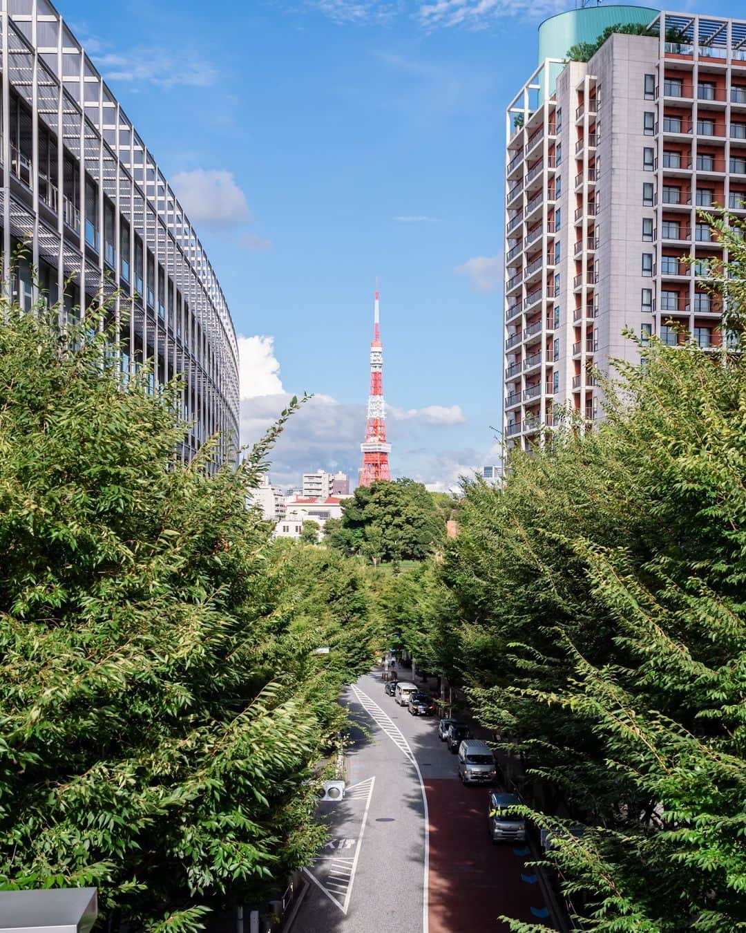 グランドハイアット東京のインスタグラム：「緑豊かな木々と東京タワーのバランスが絶妙なスポット。 思わず足を止めてカメラを向ける人々も多く、 六本木ヒルズならではの景色をお楽しみいただけます。  It’s hard to resist taking a photo at this viewpoint in Roppongi Hills, which balances the natural beauty of lush summer greenery and the sheer urban majesty of the iconic Tokyo Tower.  Enjoy this and the many other unique photo spots within walking distance of Grand Hyatt Tokyo.  #グランドハイアット東京 #grandhyatttokyo #grandhyatt #hyatt #worldofhyatt #tokyo #roppongihills #東京タワー #tokyotower #六本木」
