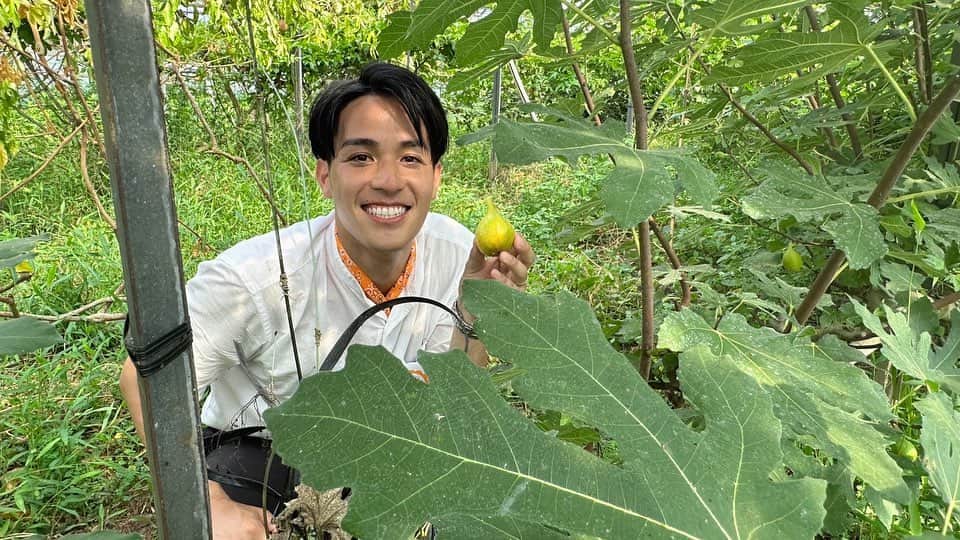 武隈光希さんのインスタグラム写真 - (武隈光希Instagram)「. トロピカルフルーツとったどー！🍐🍍🥭 . . . ジャボチカバやバナーネ、ミラクルフルーツなどなど、初めて聞く熱帯果樹をたくさん収穫してきました！  どれも美味しかったですが、中でも2枚目のバナーネは最高でした🤤 イチジクのようなネットリとした食感で、とっても甘い！私も聞いたことのある高級ホテルでも取り扱っているんだそう。  関東近辺でトロピカルフルーツの収穫体験ができるなんて思ってもいませんでしたが、ここでしか味わえない貴重な体験でした！  #トロピカルフルーツ #熱帯果樹 #収穫体験 #fruitsparadise  #ジャボチカバ #バナーネ #ミラクルフルーツ #パッションフルーツ #テレビ朝日 #アナウンサー」8月28日 19時32分 - mitsuki.takekuma_ex