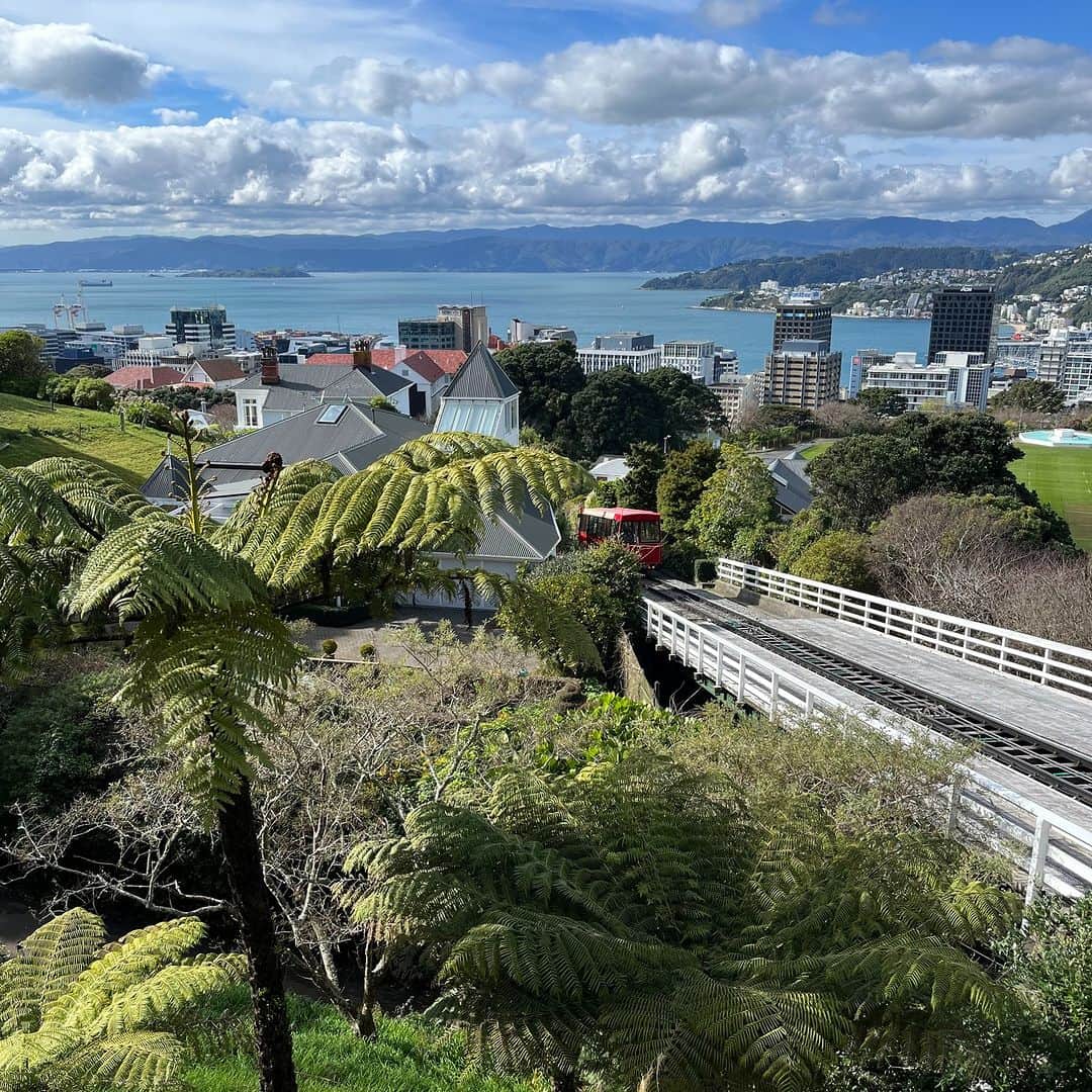 Candlewick Co., Ltd.さんのインスタグラム写真 - (Candlewick Co., Ltd.Instagram)「本日は弊社の橋爪より、最新のニュージーランド現地情報をお届けします。  先週、政観のPRを担当しているニュージーランドへ行ってきました✈️ 南半球は季節が逆で、今はちょうど真冬なのですが、気温は15度くらいでとても過ごしやすく、酷暑の日本を抜け出していく避暑先としてはベストでした！ オフシーズンなのでNZ国内も混雑はなく、どこもゆったりと過ごせましたよ。  地産地消が基本なこともあり、食べ物がどこで何を食べても美味しい！ フェリー乗り場の売店のパイとコーヒーでさえも絶品なんです。  そして、オークランド、ウェリントン、離島でもローカルのバスが素晴らしく整備されていて、1週間の滞在中、一度もタクシーに乗らずにどこにでも行けました。新品かと思うようなピカピカの車両が常時走っていて、バス停も電光掲示板形式でとても分かりやすく、時間も正確！日本の交通系カードと同様、カードをタッチするだけで乗れてものすごく便利です。運転手さんもみんな笑顔で親切😊  街全体もとても清潔で、ギラギラしたネオンもなく落ち着いた雰囲気。英語が苦手でも、街中どこでも笑顔でフレンドリーに接してくれるので、リラックスして旅を楽しみたい方には最高におすすめですよ👍  Last week our team member Kaoru went to New Zealand - a place that we support through our PR activities. ✈️The seasons are opposite in the southern hemisphere, so it is in the middle of winter right now, but the temperature was very pleasant (at around 15 degrees), making it the best place to avoid the extreme heat of Japan! Since it was the off-season, New Zealand was not as crowded and we were able to relax.  As local production for local consumption is the standard, the food we ate was delicious wherever we went! Even the pie and coffee at the ferry terminal stalls were excellent.  Moreover, the local buses in Auckland, Wellington, and Waiheke were wonderfully well maintained, and I was able to travel everywhere without taking a single taxi during my entire stay. The buses were clean and looked brand new, and the bus stops were easy to find and punctual with their electric bulletin boards! Similar to Japan's transportation system cards, simply tapping your card is all you need to do to get on the bus. The drivers were all smiling and friendly 😊.  The cities were very clean and had a peaceful atmosphere without glaring neon lights. Even if you are not confident in English, you will be greeted with smiles and friendliness everywhere. If you want to have a relaxing and enjoyable trip, then I highly recommend visiting New Zealand👍.  #キャンドルウィック #広報 #マーケティング #サステナブルPR #コミュニケーションデザイン #candlewickpr #tokyopr #communicationdesign #sustainablePR #branding #marketing #ニュージーランド #オークランド #ウェリントン #オセアニア #海外旅行 #観光 #自然 #グルメ旅 #最新情報」8月28日 20時00分 - candlewick_jp