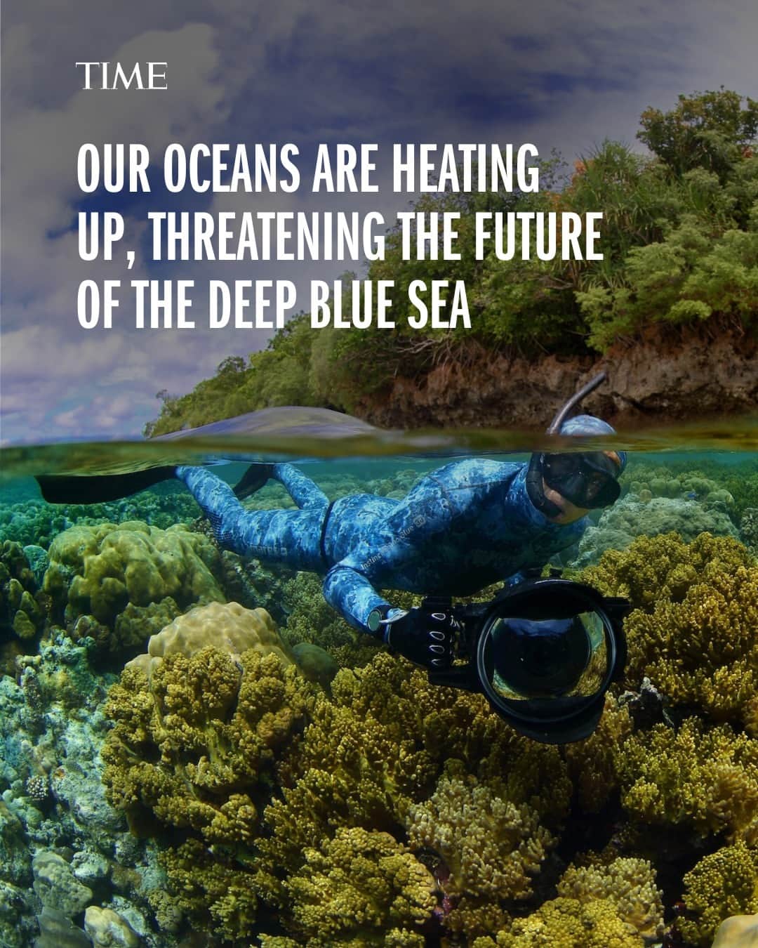TIME Magazineのインスタグラム：「Trying to protect the ocean in the midst of a climate crisis can feel like a Sisyphean task, @enricsala admits.  “But that’s what makes me keep going,” the ecologist says. “I don’t see a bigger purpose than working to save life on earth.”  At the link in bio, read about the fight to save our oceans, and why we can hold on to hope.  Photographs by Manu San Félix (@manusanfelix)—National Geographic/Pristine Seas; Cristina Mittermeier (@mitty)—@sealegacy; Paul Nicklen (@paulnicklen)—SeaLegacy」