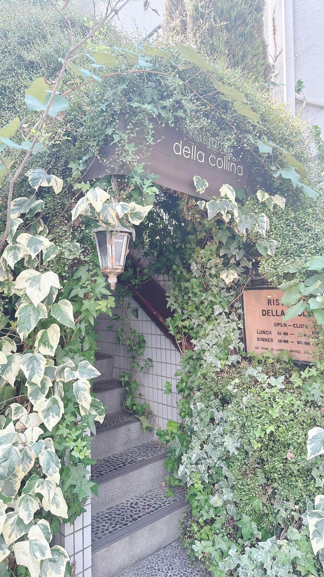 壽老麻衣のグルメインスタ