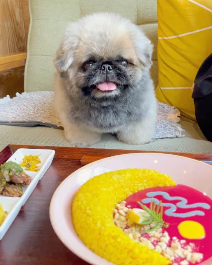 いぶそらのインスタグラム