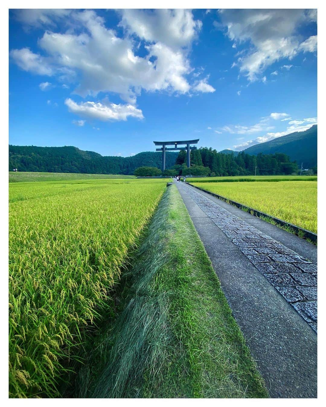 Koichiのインスタグラム：「.  At the end of summer 夏の終わりに  #BeautifulJapan #熊野本宮大社 #大斎原 #熊野古道 #和歌山  #ShotOniPhone 1st Ultra wide 13mm 2nd Tele 52mm  .」