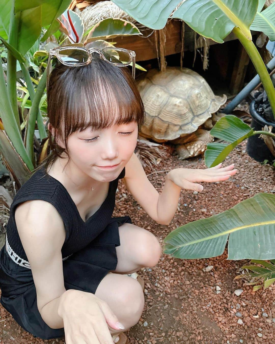 小日向夏実さんのインスタグラム写真 - (小日向夏実Instagram)「🐢🐾  かめいた~  #bbq #バーベキュー #夏休み #海 #亀 #動物 #キャンプ #夏コーデ #summer #japantravel #japanesegirl #followｍe #いいね歓迎」8月28日 20時55分 - _butamenchan_