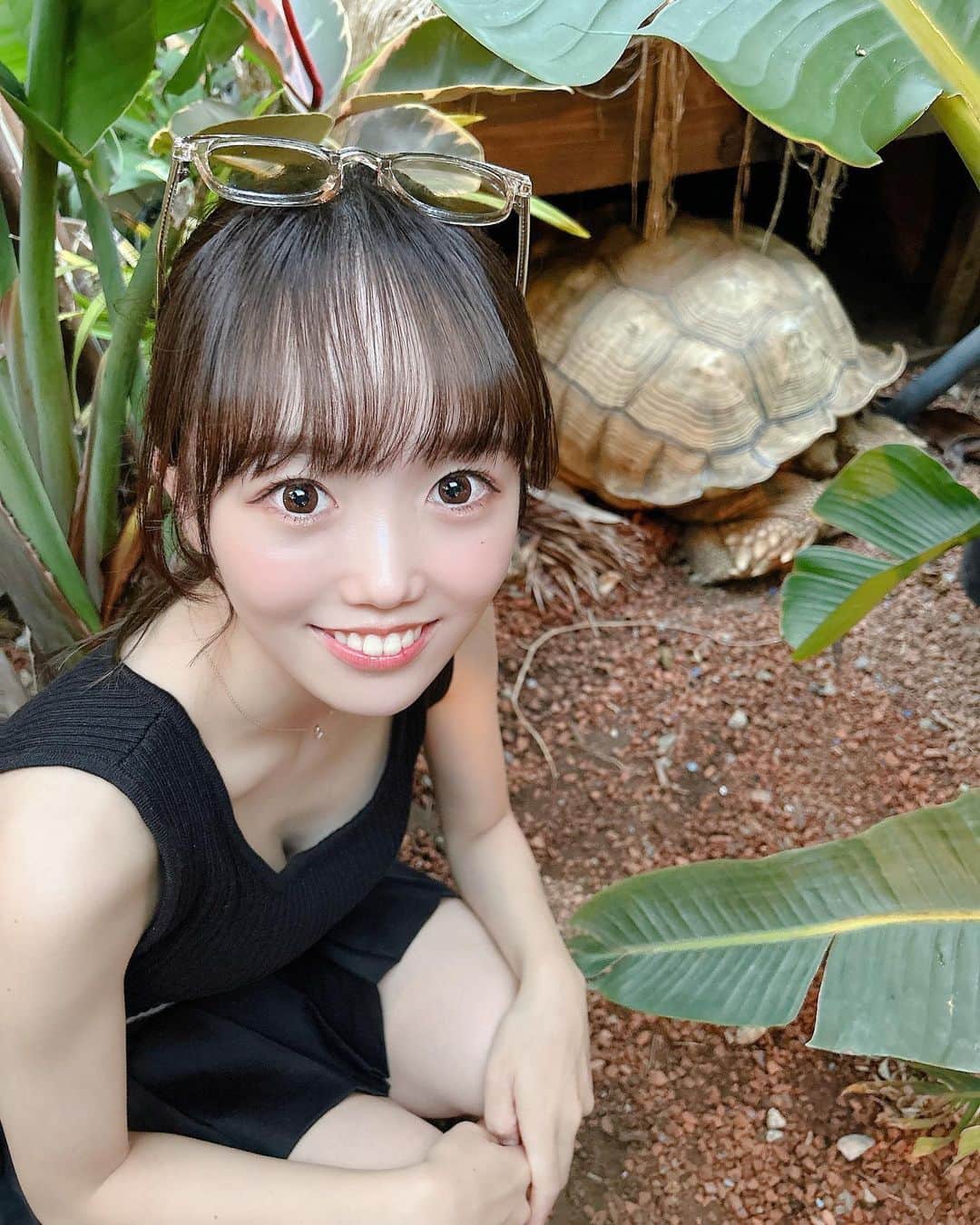 小日向夏実のインスタグラム：「🐢🐾  かめいた~  #bbq #バーベキュー #夏休み #海 #亀 #動物 #キャンプ #夏コーデ #summer #japantravel #japanesegirl #followｍe #いいね歓迎」