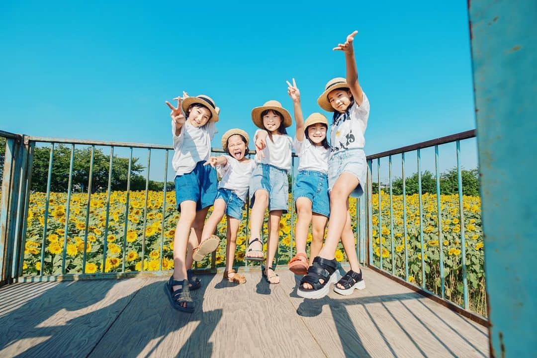 あすかのインスタグラム：「・ 夏の早朝 青空！ ひまわり満開！ みんな可愛い😊🌻 ・」