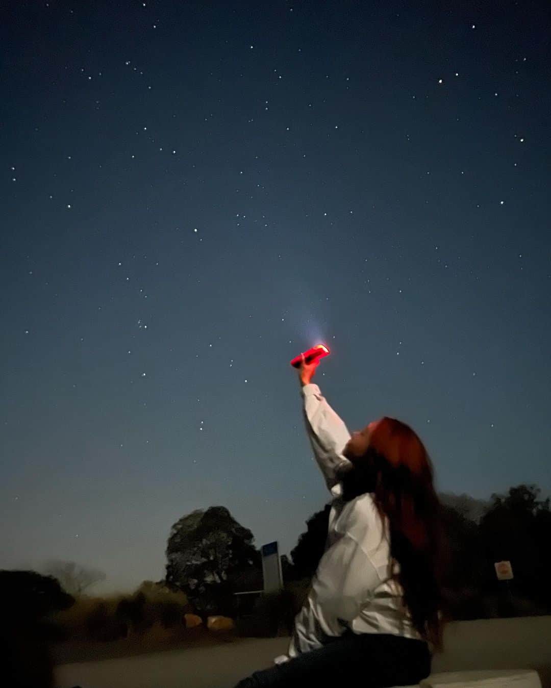 ジユルさんのインスタグラム写真 - (ジユルInstagram)「호주에서 제일 좋았던건 #별  마지막은 별 아니구 #반딧불   #star #glowworm #moogerah #Queensland #🇦🇺」8月28日 21時49分 - jiyul_7