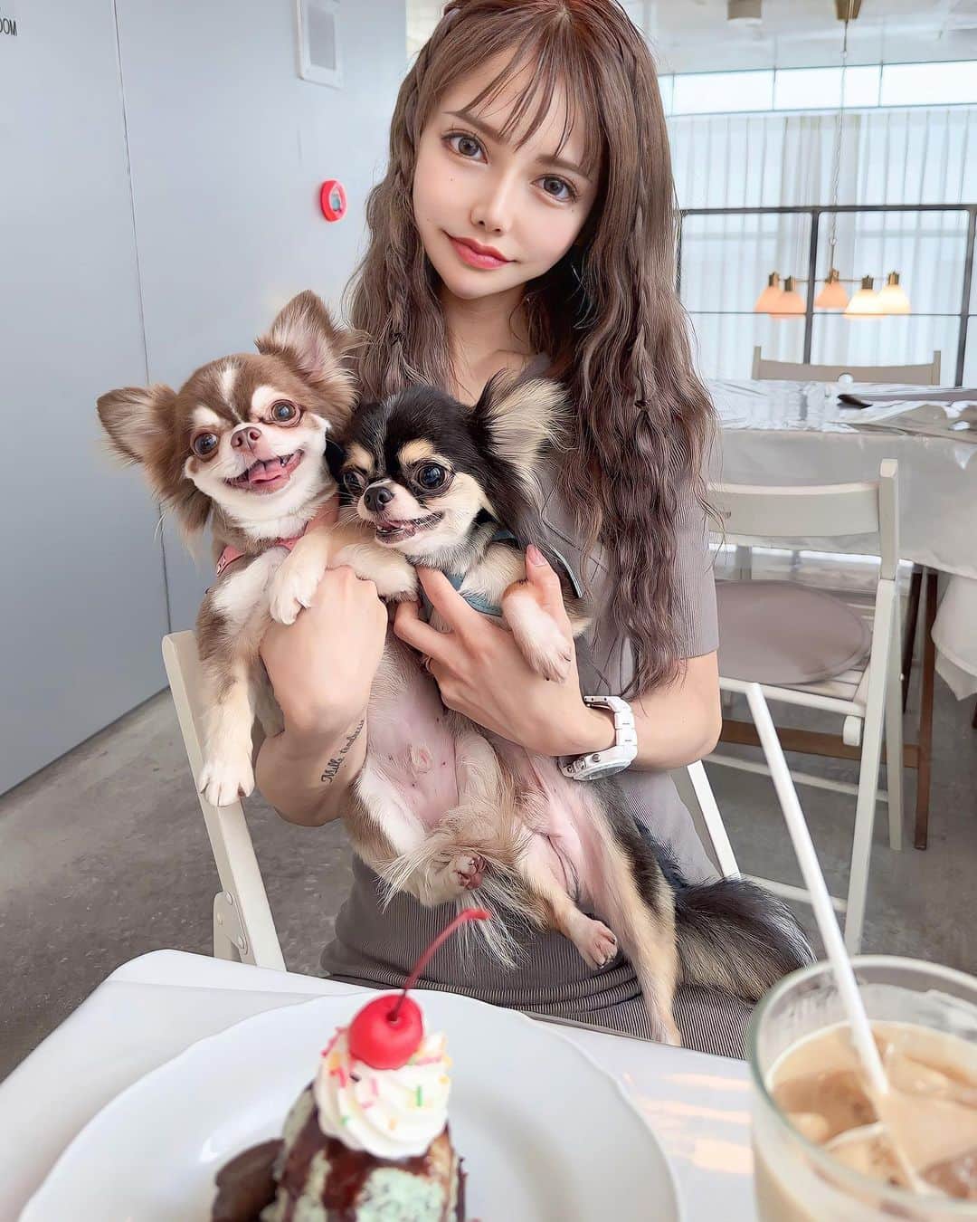 のインスタグラム：「. テラスも好きだけど この時期は室内でわんちゃん可のとこ 助かる🥹💕  うちの子たちほんとに可愛い🫶  ━━━━━━━━━━━━━━━  📍カンティーヌロゼ 𝐂𝐚𝐧𝐭𝐢𝐧𝐞𝐑𝐨𝐬𝐞 ❨ @cantine_rose ❩  愛知県名古屋市中区大須3-1 35HASE BLDG4階  ━━━━━━━━━━━━━━━  #大須  #大須カフェ  #大須ペット可  #カンティーヌロゼ  #ちわわのいる生活  #153cmコーデ  #低身長コーデ」