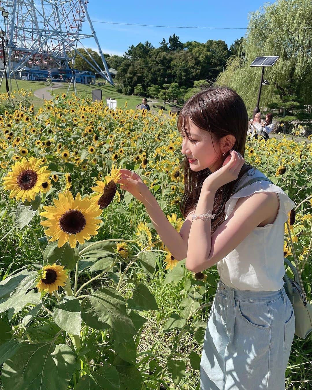 葵井るきのインスタグラム：「🌻 こんなにひまわり沢山なの初めて見た！ ひまわり見ると元気出る〜🪄  今まであんまり履いて来なかったけど去年くらいからジーパンにハマってるの👖♡ジーパンコーデ好きかな、、？  夏も残りあと少し....今年の夏はみんなのおかげで今までで1番最高の夏だった🌻🌈本当にありがとう。♡ 最後まで沢山思い出つくれたらいいな👘✨  #ひまわり畑 #ひまわり #葛西臨海公園 #ootd  #followme #instalike #instagood #fashion #ootd #instagood #instalike #followme #code」