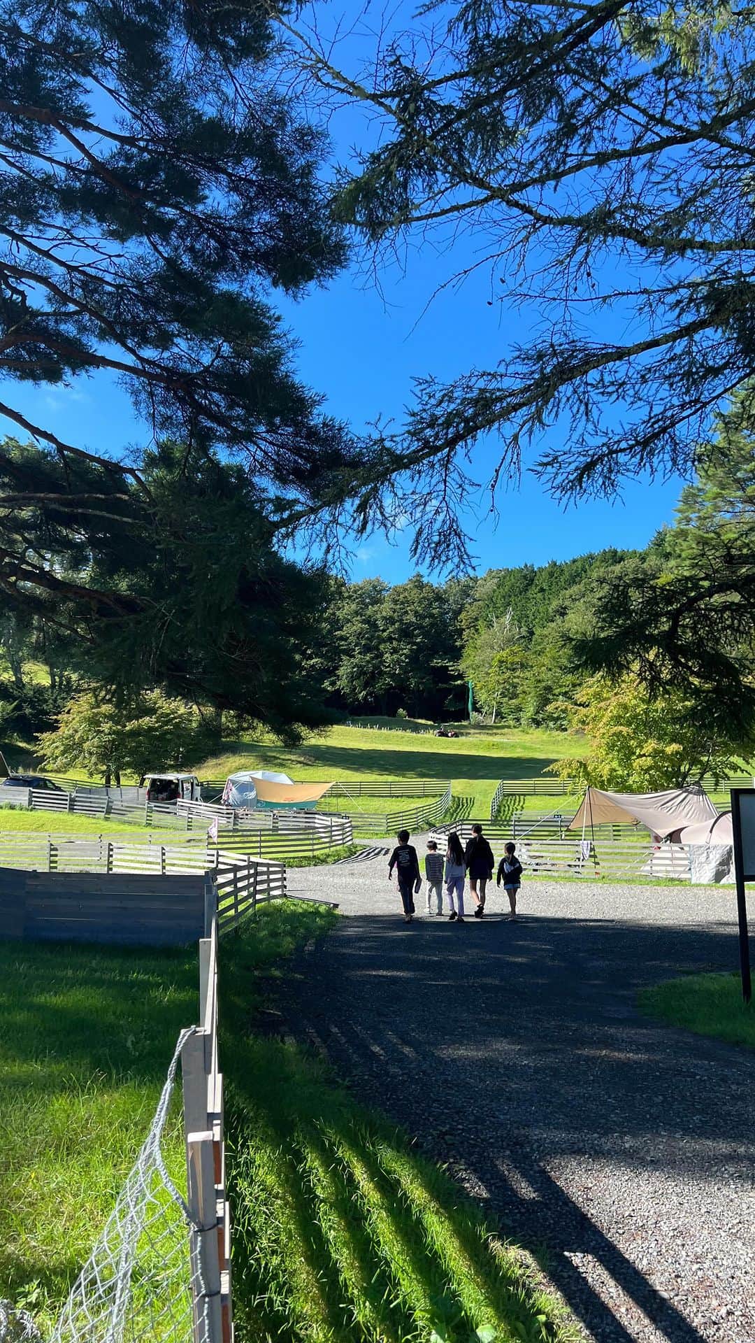 高橋志津奈のインスタグラム：「２週間続けて土日のキャンプ🏕️ . いつものメンバーで行ってきました！ . ハードな夏休みに2週続けては体力的にはきついけど子供達がほんとに楽しそうに遊んでてそれ見てると幸せ❤︎ 幼なじみみたいでほんとに仲良くて、今回は本気のサッカーの対決もしたりとか、とことん遊び尽くした夏の終わり☀️ . なんだか成長を感じて感慨深かったな。 . こんな感覚も後少しかなーとか思いながら、なんかもっと子供の成長を見なきゃなーと再確認🤭 . あとは宿題チェックする日々が待っている🤣 . #夏休みの思い出 #みんなでキャンプ」