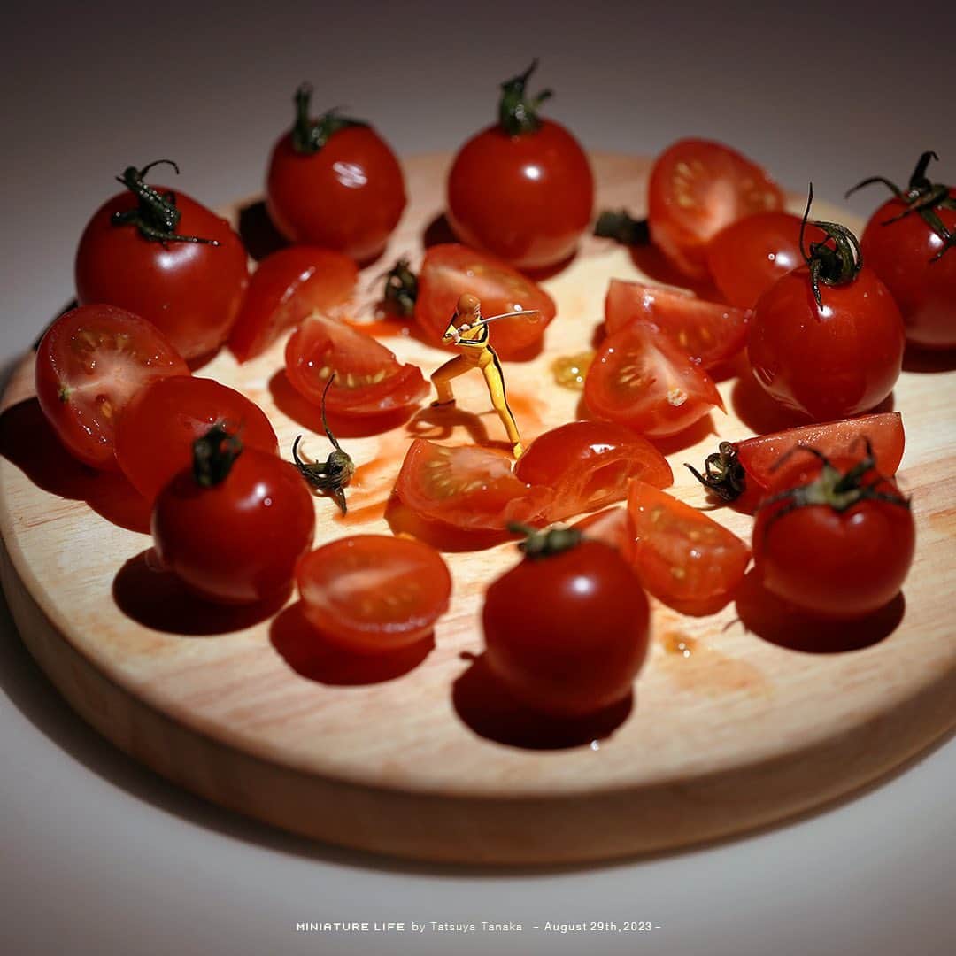 田中達也さんのインスタグラム写真 - (田中達也Instagram)「⠀ “How to Make Tomato Salad” ⠀ ⠀ とっと“とまと”めてかかってこい ⠀ ⠀ #このあとおいしくいただきました ─────────────────── 《EXHIBITION info》 ⠀ 【MINIATURE LIFE展 in 福岡・大野城】 MINIATURE LIFE EXHIBITION in Fukuoka until : Sep. 3, 2023 ⠀ 【MINIATURE LIFE展2 in 沖縄】 MINIATURE LIFE EXHIBITION 2 in Okinawa until : Sep. 3, 2023 ⠀ 【ミニチュアの視点で見る日本－田中 達也 展】 Japan from miniatures - Tatsuya Tanaka at Japan House São Paulo until : Oct. 8, 2023 ⠀ 【ミニチュアライフ 神戸エアポート】 MINIATURE LIFE × KOBE AIRPORT ⠀」8月29日 7時00分 - tanaka_tatsuya