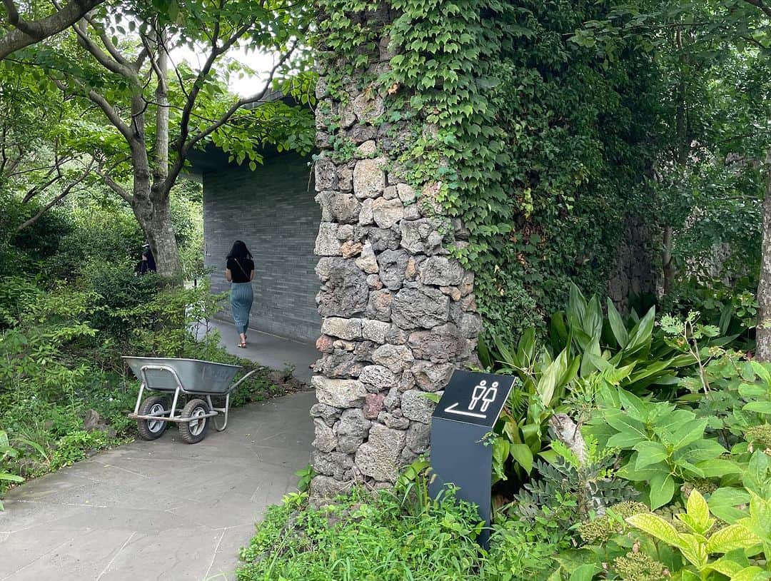 河島あみるさんのインスタグラム写真 - (河島あみるInstagram)「チェジュ島の広大な茶畑の中にある #osullocteamuseum  お茶のミュージアム🍵 火山島ならではの石灰岩がふんだんに使われたデザインがとにかくかっこいい。 沖縄の琉球石灰岩好きの私としてはたまらん空間でした。 （チェジュの石灰岩の方がちょい黒め） そこまでの道のりは本当に 『お茶の京都』という感じなんですが、 こんな洗練された企業ミュージアムはないと驚くレベル。 お土産のデザインも洗練されているし、 カフェメニューも本格的な緑茶からフレーバーティー、 スイーツまで豊富！ ちょうど宇治市のPRもしているちち。良い勉強になりました。  #チェジュ島#オーソルロックティーミュージアム#茶畑#博物館#ミュージアム#jejutravel」8月28日 23時27分 - amiru_kawashima