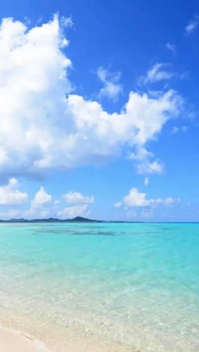 秋定麻紀子のインスタグラム：「trip✈️」