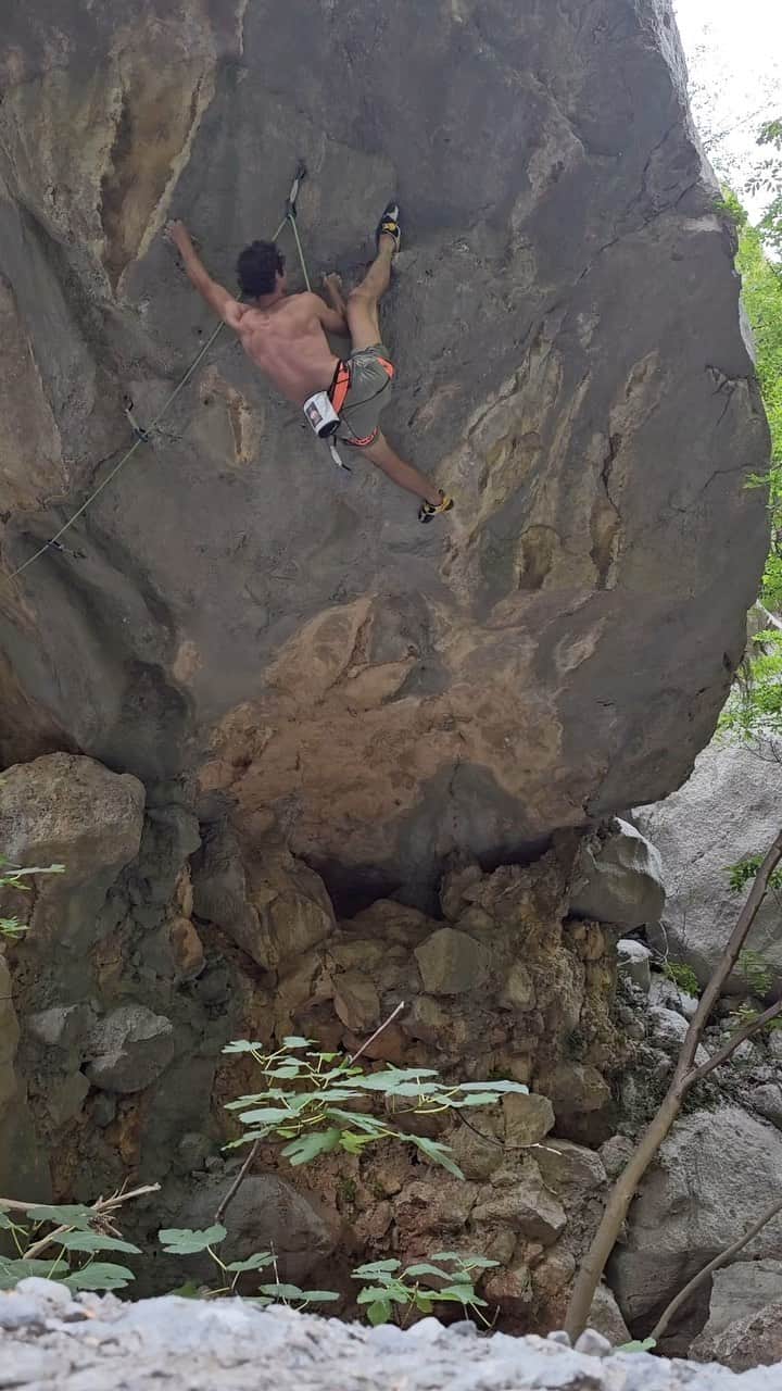 のインスタグラム：「Mosquito 8b Onsight 👌  I got to spend a nice week with my family in Croatia (Europe) 🇭🇷 Besides staying at the beach, I got to climb in Paklenica, where I used to go as a small kid, and I had in the eye this classic route from @geriroc - Mosquito 8b 👊 Short, burly but very visionary route from the Austrian climber that I was very happy to onsight in the crazy heat☝️  Watch the video ✌️  #adamondra #AO #rockclimbing #climbing #climbinglife #onsight #onsight_climbing #croatia #croatia🇭🇷 #paklenica」