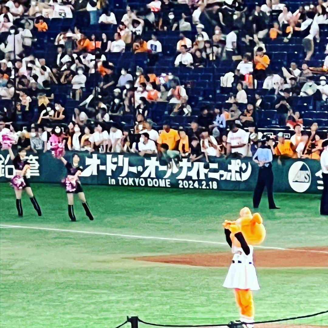 若林正恭 著書「表参道のセレブ犬とカバーニャ要塞の野良犬」のインスタグラム：「東京ドームライブまであと174日  私は東京の野球少年でしたから 嬉しいを通り越して夢でも見ているのかと思うのです」