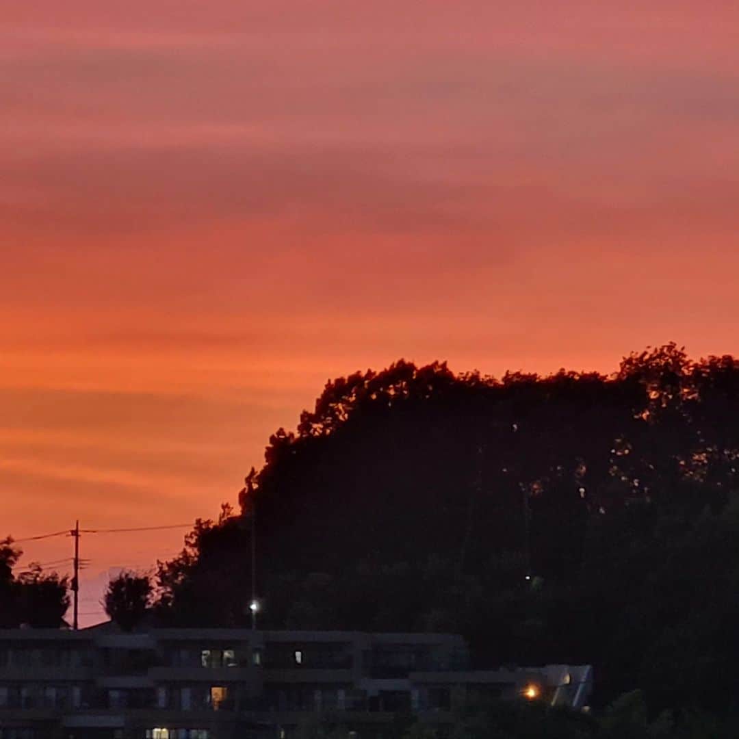 音無美紀子さんのインスタグラム写真 - (音無美紀子Instagram)「夕空、 数分でどんどん空の色が変わって行く。 茜色の空へと。 車を停めて、暫く眺めました。 夕空晴れて、秋風吹く🎵🎵  秋はまだもう少し先かな。 #夕空 #秋風が待たれるわ」8月29日 1時27分 - mikikootonashi