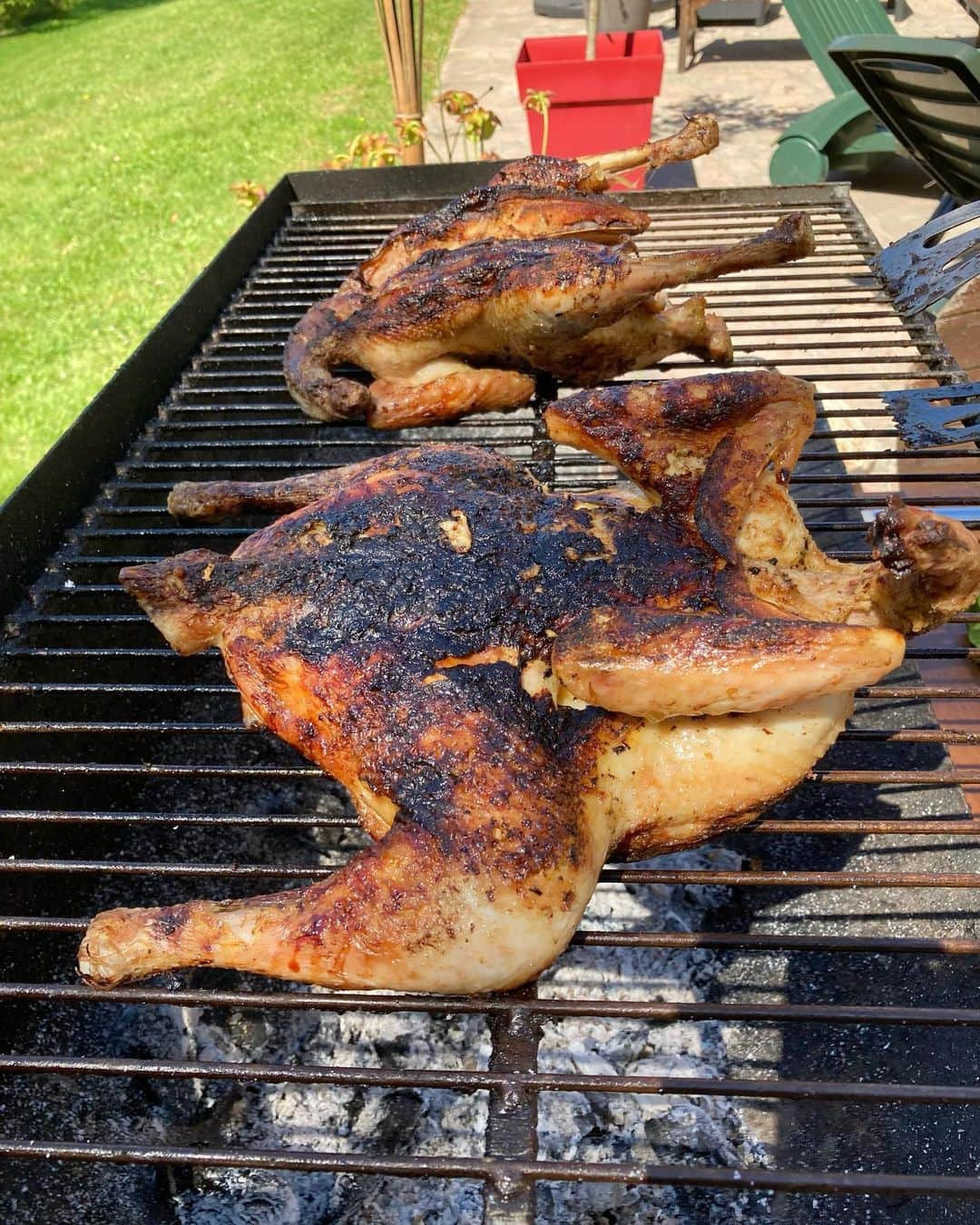 小明のインスタグラム：「菜食主義の方は見ないでください  今日は焼き鳥だよ、と言われ楽しみにしていたけどなんかスケールが違ってたよ　ねぎほしくなるね」