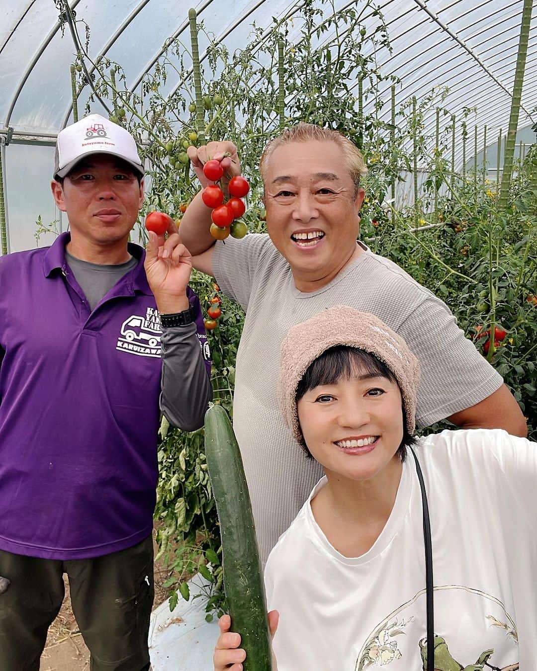 橋本志穂さんのインスタグラム写真 - (橋本志穂Instagram)「軽井沢の片山農園にお邪魔して たくさんお野菜を収穫させていただきました。  フルティカトマトが めちゃくちゃ美味しくて、 差し入れしたみなさんに 「人生で一番美味しいトマト」 「まるでシャインマスカットみたい」と 大絶賛でしたー  #フルティカ #トマト #軽井沢 @hocchitamana.sam」8月29日 2時22分 - shihohashimoto3
