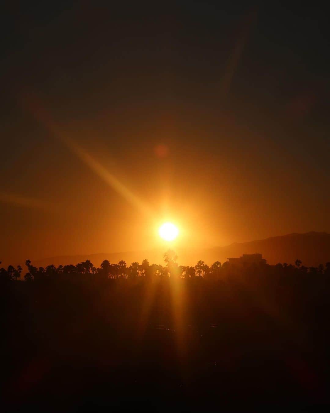 ブランカ・パディラさんのインスタグラム写真 - (ブランカ・パディラInstagram)「That California light… @alo  Ad」8月29日 2時28分 - blancapadilla