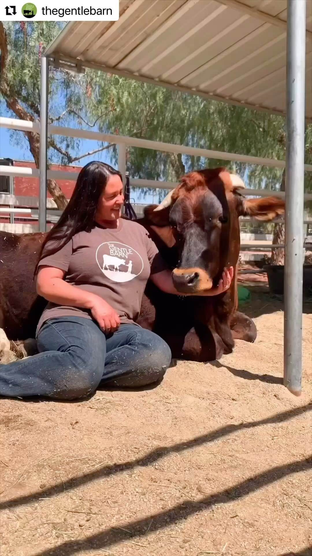 コンスタンス・マリーのインスタグラム：「The next time you sit down to have a meal. Think about what was, the living, breathing, wonderful animal that’s on your plate. And then maybe try a #MeatlessMonday  It’s better for you, better for the animal. better for the climate. Thank you @thegentlebarn for all that you do! ✨🙏🏽✨ #vegetarian #Vegan #TheGentleBarn #Animals #Farm #FarmAnimals #Love #Meatless #Repost @thegentlebarn with @use.repost ・・・ It’s our ✨24th✨ anniversary! Whether you’re a new friend or you’ve been with us since the beginning, thank you for following The Gentle Barn farm animal sanctuary as we rescue animals with nowhere else to go, heal and rehabilitate them, and then partner with them to inspire people.  Your support over these past decades has changed the lives of countless animals—and humans! We’re so proud to share our work with you 💚」