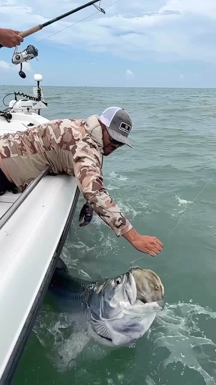 シマノ｜Fishingのインスタグラム：「End game. #FishShimano  #TarponFishing #ShimanoReels #CatchAndRelease  📸: @capt_brianbarrera」