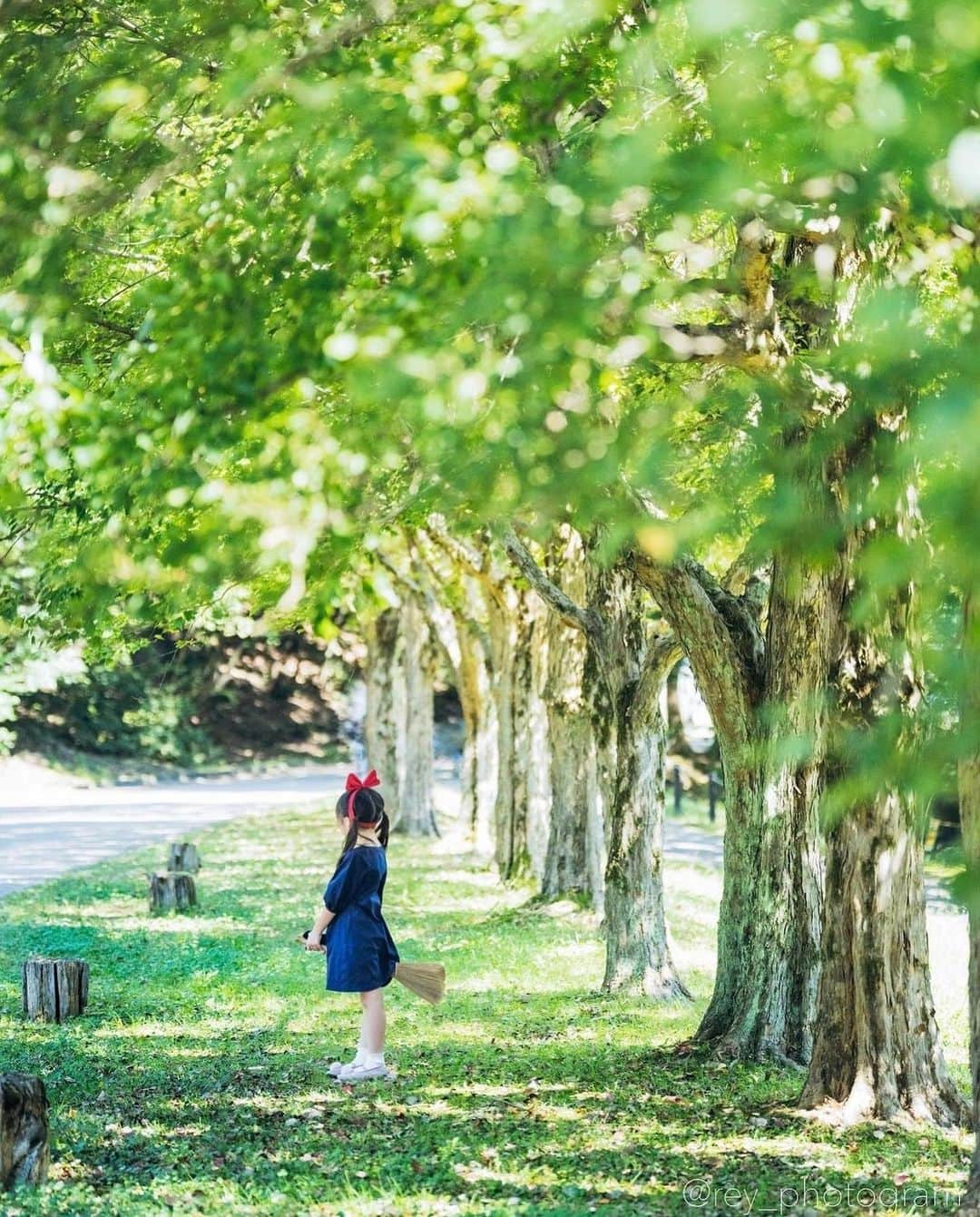 ジェットスター航空さんのインスタグラム写真 - (ジェットスター航空Instagram)「"行きたい！と思ったら【🌼】をコメント！ “次に行きたい”が見つかる#jettabi_japan #愛知編 ★ 一足先に秋を感じる🍁 #モリコロパーク  愛知県にある愛・地球博記念公園 、通称「モリコロパーク」は、自然豊かな大型都市公園🌍💞  園内には四季折々の花々が咲いているので、のんびり散策するのがおすすめ✨  9月には秋らしいパンパスグラスやコスモスが見頃を迎えます🌼  敷地内には、スタジオジブリ作品の世界を表現した「#ジブリパーク」などの写真映えスポットがあるだけでなく、観覧車🎡や年中楽しめるアイススケート⛸、サイクリング🚲などの、アクティビティもあります🙌 気分に合わせて大人も子供も一日中楽しめること間違いなしでスター🌟  この秋、家族や友人恋人との思い出づくりに訪れてみては？  【モリコロパーク】 📍愛知県長久手市茨ケ廻間乙1533-1  -------------------------------------------- ／ 📣ジェットスターなら、名古屋（中部）まで ＼ ✈︎福岡から 片道¥5,490〜 ✈︎沖縄（那覇）から 片道¥5,080〜 --------------------------------------------  ジェットスター・ジャパン公式アカウント（@jetstar_japan）では「“次に行きたい”が見つかる」をテーマに就航地の魅力をご紹介✈️⭐️「#jettabi_japan」をつけて、皆さんのFun&Happyな旅の思い出をぜひご投稿ください！素敵なお写真は、公式アカウントでご紹介させていただきます♪  ⭐️Special thanks📸 by @pho_to_shota（1枚目） / @amiwanmini（2枚目） / @kisa_0201（3枚目）/ @s.3102.g（4枚目）/ @okomesan_10（5枚目）/ @rey_photogram（6枚目） --------------------------------------------  ※運賃はエコノミークラス「Starter」。支払手数料、空港使用料等が別途必要です。受託手荷物の料金は含まれません。諸条件が適用されます。 ※就航地のご紹介内容に関する最新情報は、下記の参照サイト等でご確認ください。 -------------------------------------------- 【参照サイト】 aichi-koen.com、名古屋コンシェルジュ、ジブリパーク --------------------------------------------  #愛知 #愛知観光 #愛知旅行 #ジェットスター #jetstar #jetstar_japan #LCC #飛行機 #trip #旅好きな人と繋がりたい #長久手市 #国内旅行 #夏旅行計画 #愛知デート #aichiprefecture #コスパ旅 #女子旅 #愛知インスタ映え #愛知映えスポット #愛知公園 #愛知ドライブ #ジブリ風 #パンパスグラス #コスモス畑 #夏スポット #愛地球博記念公園」8月29日 18時00分 - jetstar_japan