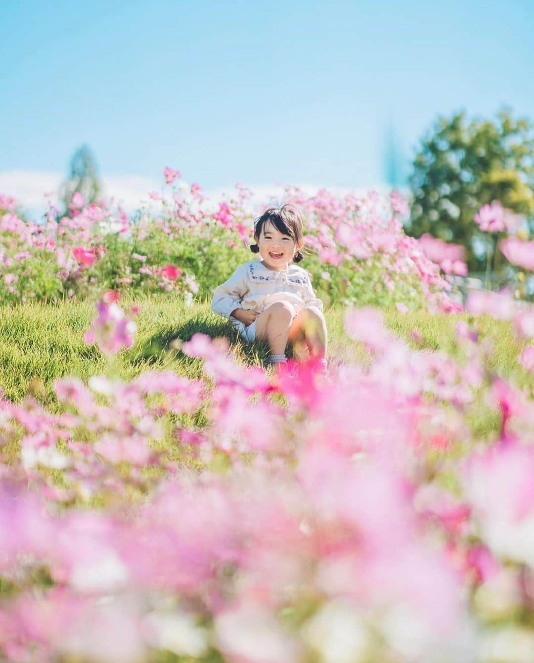 ジェットスター航空さんのインスタグラム写真 - (ジェットスター航空Instagram)「"行きたい！と思ったら【🌼】をコメント！ “次に行きたい”が見つかる#jettabi_japan #愛知編 ★ 一足先に秋を感じる🍁 #モリコロパーク  愛知県にある愛・地球博記念公園 、通称「モリコロパーク」は、自然豊かな大型都市公園🌍💞  園内には四季折々の花々が咲いているので、のんびり散策するのがおすすめ✨  9月には秋らしいパンパスグラスやコスモスが見頃を迎えます🌼  敷地内には、スタジオジブリ作品の世界を表現した「#ジブリパーク」などの写真映えスポットがあるだけでなく、観覧車🎡や年中楽しめるアイススケート⛸、サイクリング🚲などの、アクティビティもあります🙌 気分に合わせて大人も子供も一日中楽しめること間違いなしでスター🌟  この秋、家族や友人恋人との思い出づくりに訪れてみては？  【モリコロパーク】 📍愛知県長久手市茨ケ廻間乙1533-1  -------------------------------------------- ／ 📣ジェットスターなら、名古屋（中部）まで ＼ ✈︎福岡から 片道¥5,490〜 ✈︎沖縄（那覇）から 片道¥5,080〜 --------------------------------------------  ジェットスター・ジャパン公式アカウント（@jetstar_japan）では「“次に行きたい”が見つかる」をテーマに就航地の魅力をご紹介✈️⭐️「#jettabi_japan」をつけて、皆さんのFun&Happyな旅の思い出をぜひご投稿ください！素敵なお写真は、公式アカウントでご紹介させていただきます♪  ⭐️Special thanks📸 by @pho_to_shota（1枚目） / @amiwanmini（2枚目） / @kisa_0201（3枚目）/ @s.3102.g（4枚目）/ @okomesan_10（5枚目）/ @rey_photogram（6枚目） --------------------------------------------  ※運賃はエコノミークラス「Starter」。支払手数料、空港使用料等が別途必要です。受託手荷物の料金は含まれません。諸条件が適用されます。 ※就航地のご紹介内容に関する最新情報は、下記の参照サイト等でご確認ください。 -------------------------------------------- 【参照サイト】 aichi-koen.com、名古屋コンシェルジュ、ジブリパーク --------------------------------------------  #愛知 #愛知観光 #愛知旅行 #ジェットスター #jetstar #jetstar_japan #LCC #飛行機 #trip #旅好きな人と繋がりたい #長久手市 #国内旅行 #夏旅行計画 #愛知デート #aichiprefecture #コスパ旅 #女子旅 #愛知インスタ映え #愛知映えスポット #愛知公園 #愛知ドライブ #ジブリ風 #パンパスグラス #コスモス畑 #夏スポット #愛地球博記念公園」8月29日 18時00分 - jetstar_japan