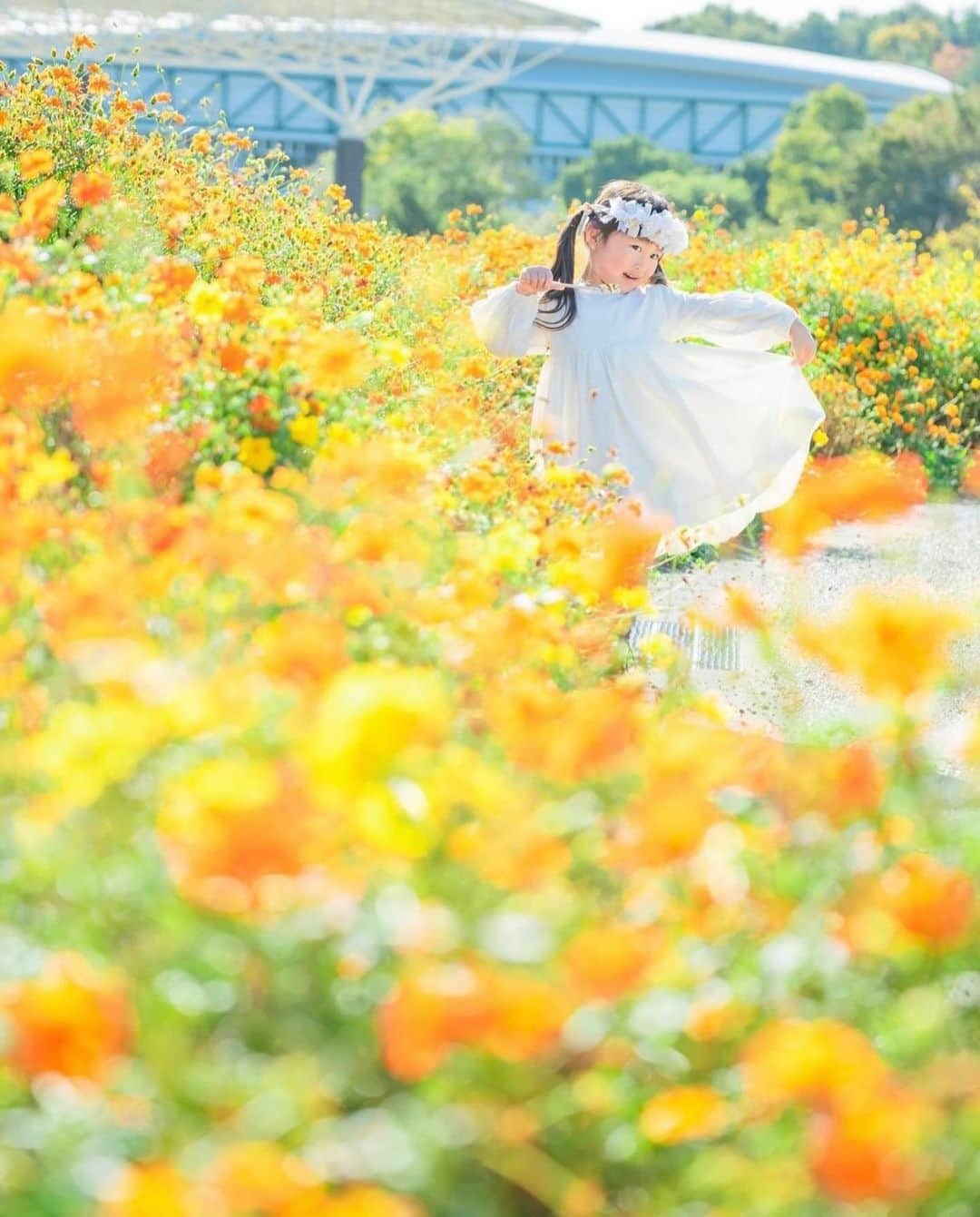 ジェットスター航空さんのインスタグラム写真 - (ジェットスター航空Instagram)「"行きたい！と思ったら【🌼】をコメント！ “次に行きたい”が見つかる#jettabi_japan #愛知編 ★ 一足先に秋を感じる🍁 #モリコロパーク  愛知県にある愛・地球博記念公園 、通称「モリコロパーク」は、自然豊かな大型都市公園🌍💞  園内には四季折々の花々が咲いているので、のんびり散策するのがおすすめ✨  9月には秋らしいパンパスグラスやコスモスが見頃を迎えます🌼  敷地内には、スタジオジブリ作品の世界を表現した「#ジブリパーク」などの写真映えスポットがあるだけでなく、観覧車🎡や年中楽しめるアイススケート⛸、サイクリング🚲などの、アクティビティもあります🙌 気分に合わせて大人も子供も一日中楽しめること間違いなしでスター🌟  この秋、家族や友人恋人との思い出づくりに訪れてみては？  【モリコロパーク】 📍愛知県長久手市茨ケ廻間乙1533-1  -------------------------------------------- ／ 📣ジェットスターなら、名古屋（中部）まで ＼ ✈︎福岡から 片道¥5,490〜 ✈︎沖縄（那覇）から 片道¥5,080〜 --------------------------------------------  ジェットスター・ジャパン公式アカウント（@jetstar_japan）では「“次に行きたい”が見つかる」をテーマに就航地の魅力をご紹介✈️⭐️「#jettabi_japan」をつけて、皆さんのFun&Happyな旅の思い出をぜひご投稿ください！素敵なお写真は、公式アカウントでご紹介させていただきます♪  ⭐️Special thanks📸 by @pho_to_shota（1枚目） / @amiwanmini（2枚目） / @kisa_0201（3枚目）/ @s.3102.g（4枚目）/ @okomesan_10（5枚目）/ @rey_photogram（6枚目） --------------------------------------------  ※運賃はエコノミークラス「Starter」。支払手数料、空港使用料等が別途必要です。受託手荷物の料金は含まれません。諸条件が適用されます。 ※就航地のご紹介内容に関する最新情報は、下記の参照サイト等でご確認ください。 -------------------------------------------- 【参照サイト】 aichi-koen.com、名古屋コンシェルジュ、ジブリパーク --------------------------------------------  #愛知 #愛知観光 #愛知旅行 #ジェットスター #jetstar #jetstar_japan #LCC #飛行機 #trip #旅好きな人と繋がりたい #長久手市 #国内旅行 #夏旅行計画 #愛知デート #aichiprefecture #コスパ旅 #女子旅 #愛知インスタ映え #愛知映えスポット #愛知公園 #愛知ドライブ #ジブリ風 #パンパスグラス #コスモス畑 #夏スポット #愛地球博記念公園」8月29日 18時00分 - jetstar_japan